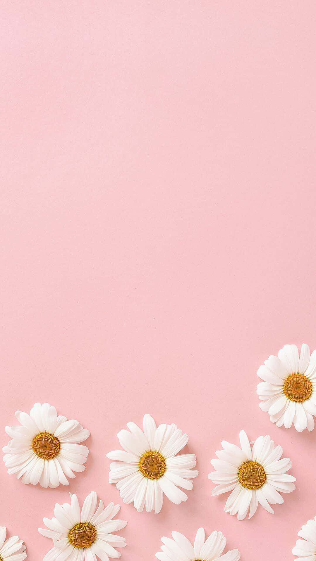 Fondo de textura rosa pastel minimalista Fondos de pantalla
