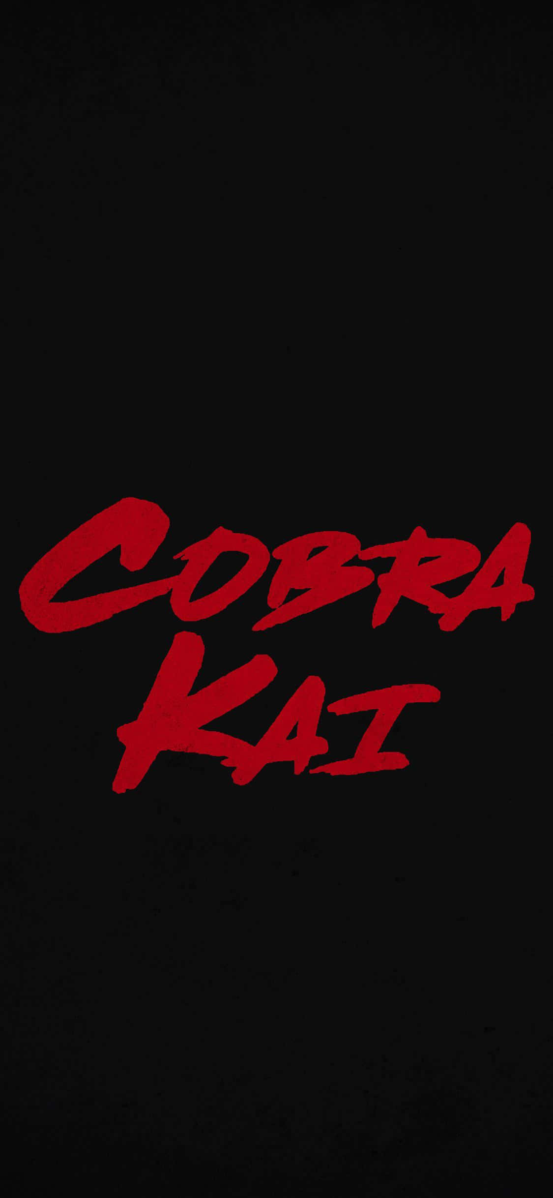 Fondo de Título Cobra Kai para iPhone XR Fondos de pantalla