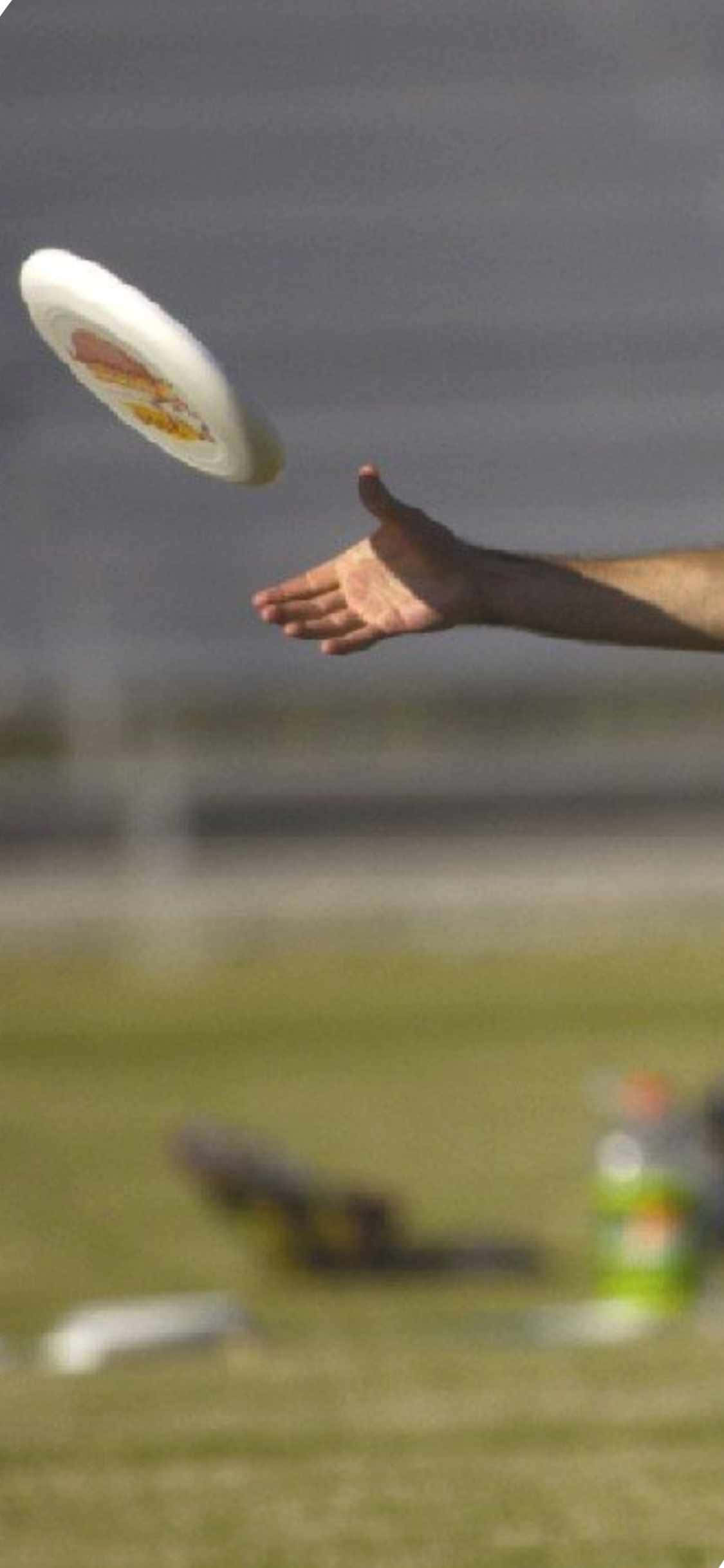 Fondo de Ultimate Frisbee para iPhone X: Atrapar el Disco Fondos de pantalla