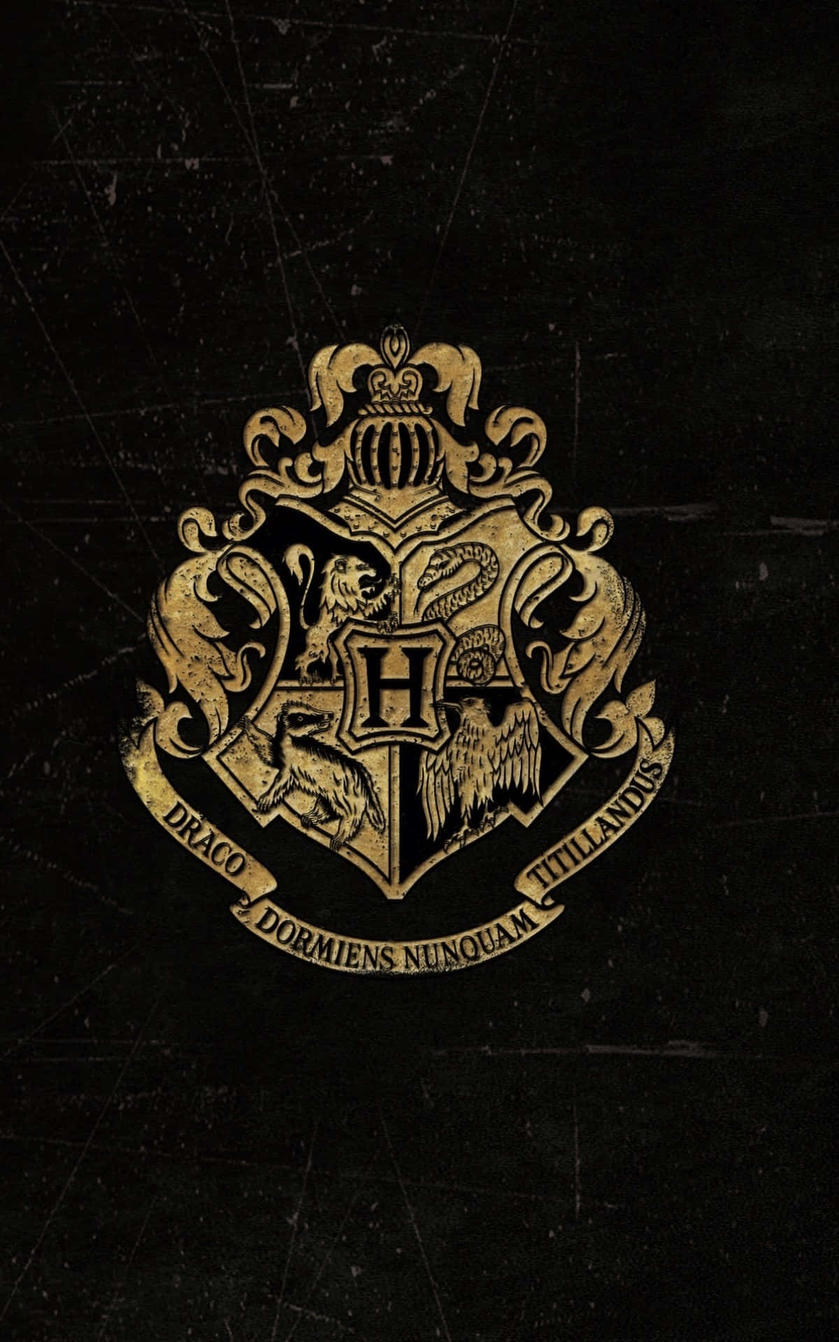 Fondo del Escudo Dorado de Hogwarts de Harry Potter Fondos de pantalla