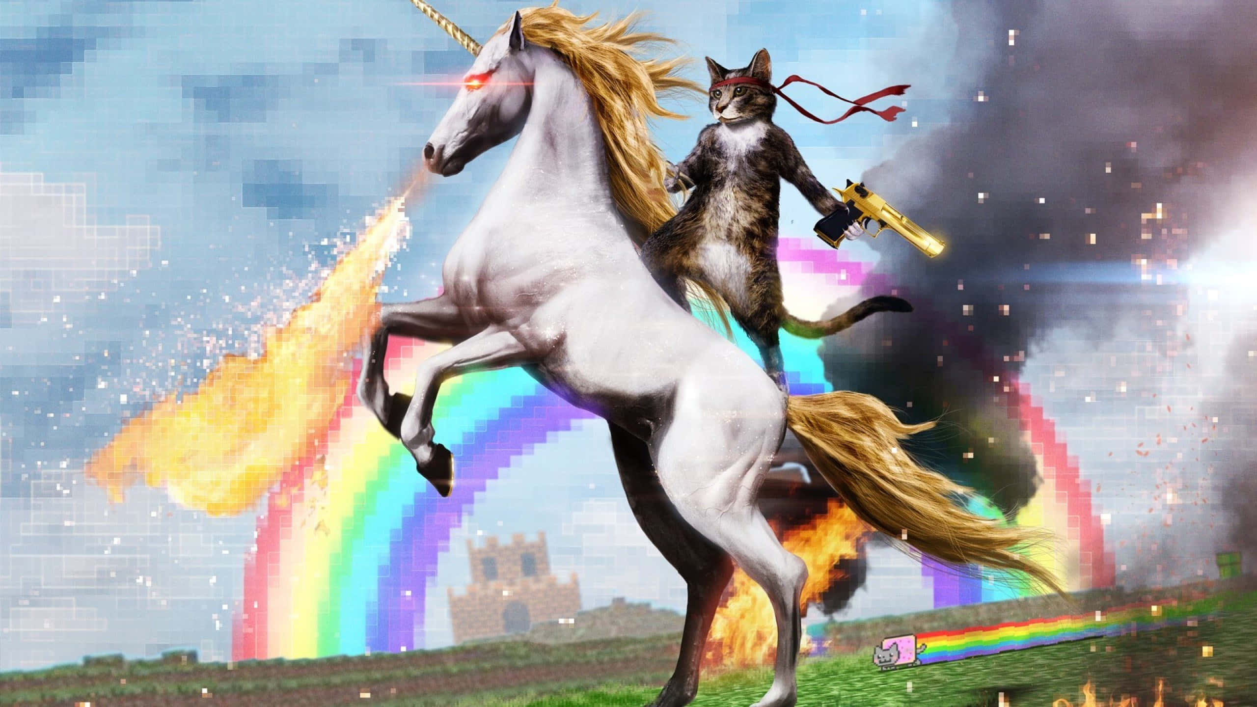 Fondo Divertido de Unicornio y Gato Fondos de pantalla