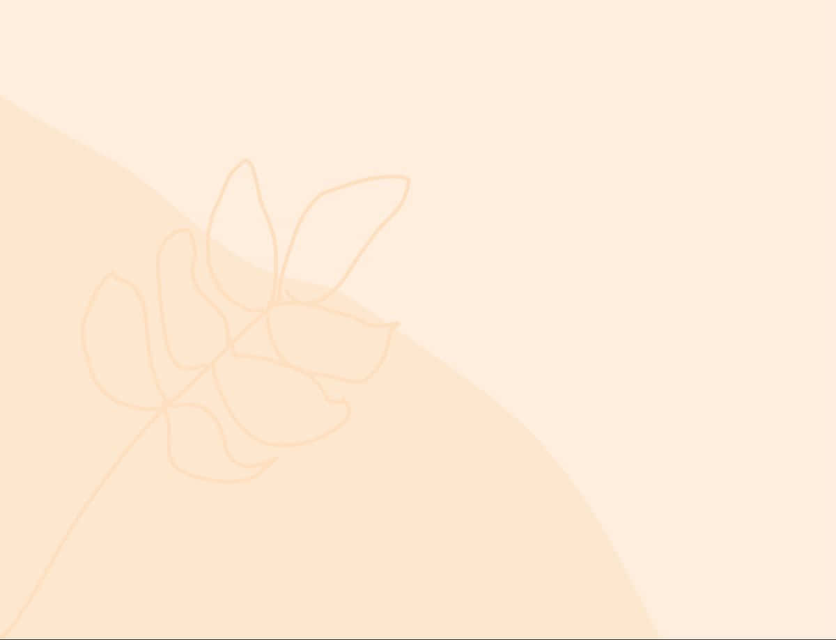 Fondo en tonos pastel crema y beige Fondos de pantalla