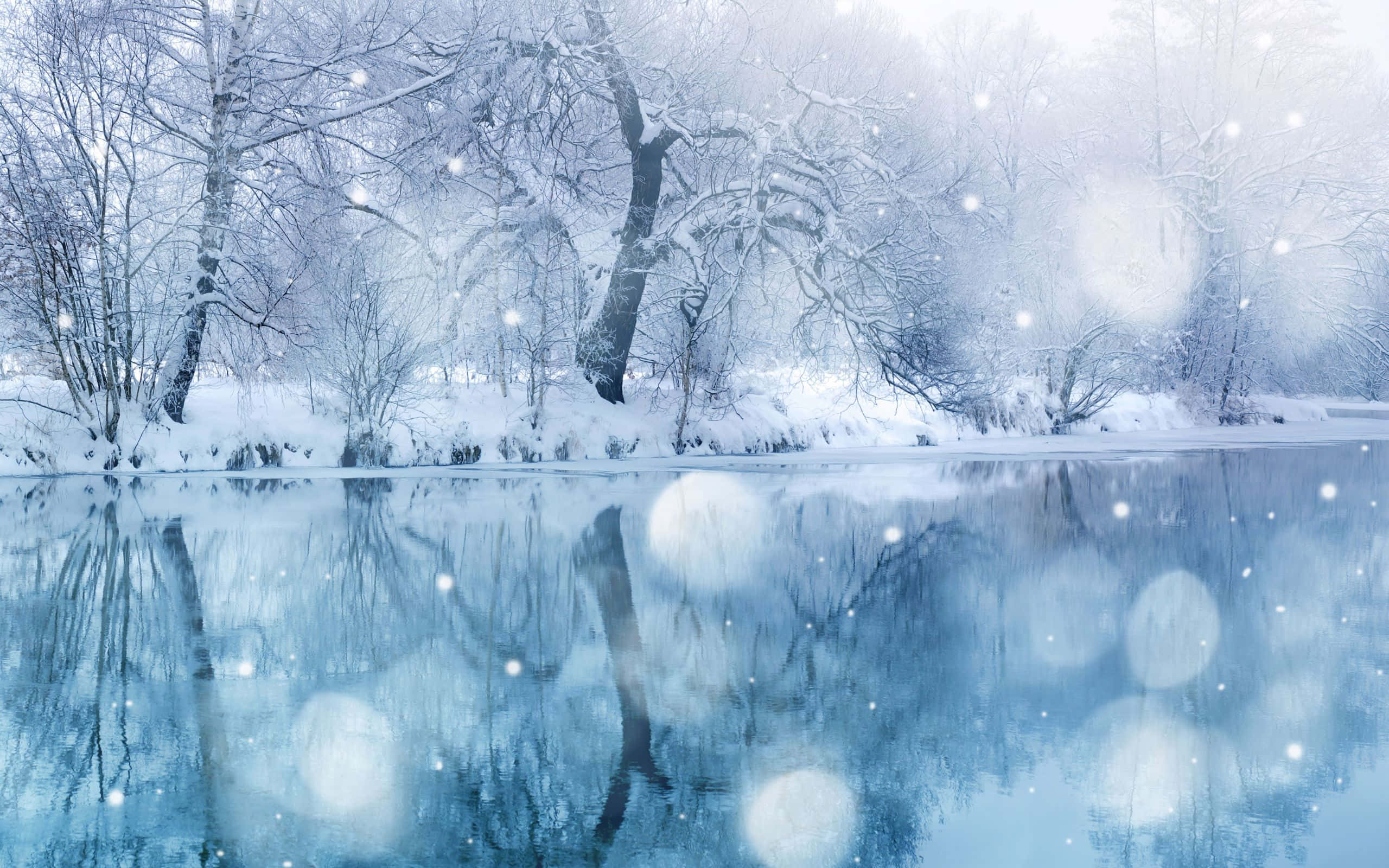 Fondo Escénico de Nevadas en un Paraíso Invernal Fondos de pantalla