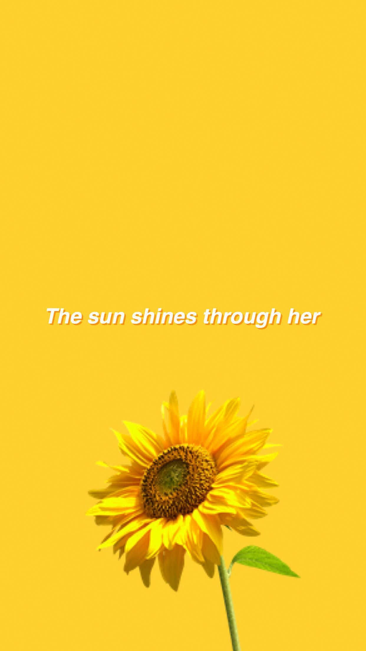 Fondo estético amarillo para iPhone con un hermoso girasol Fondos de pantalla