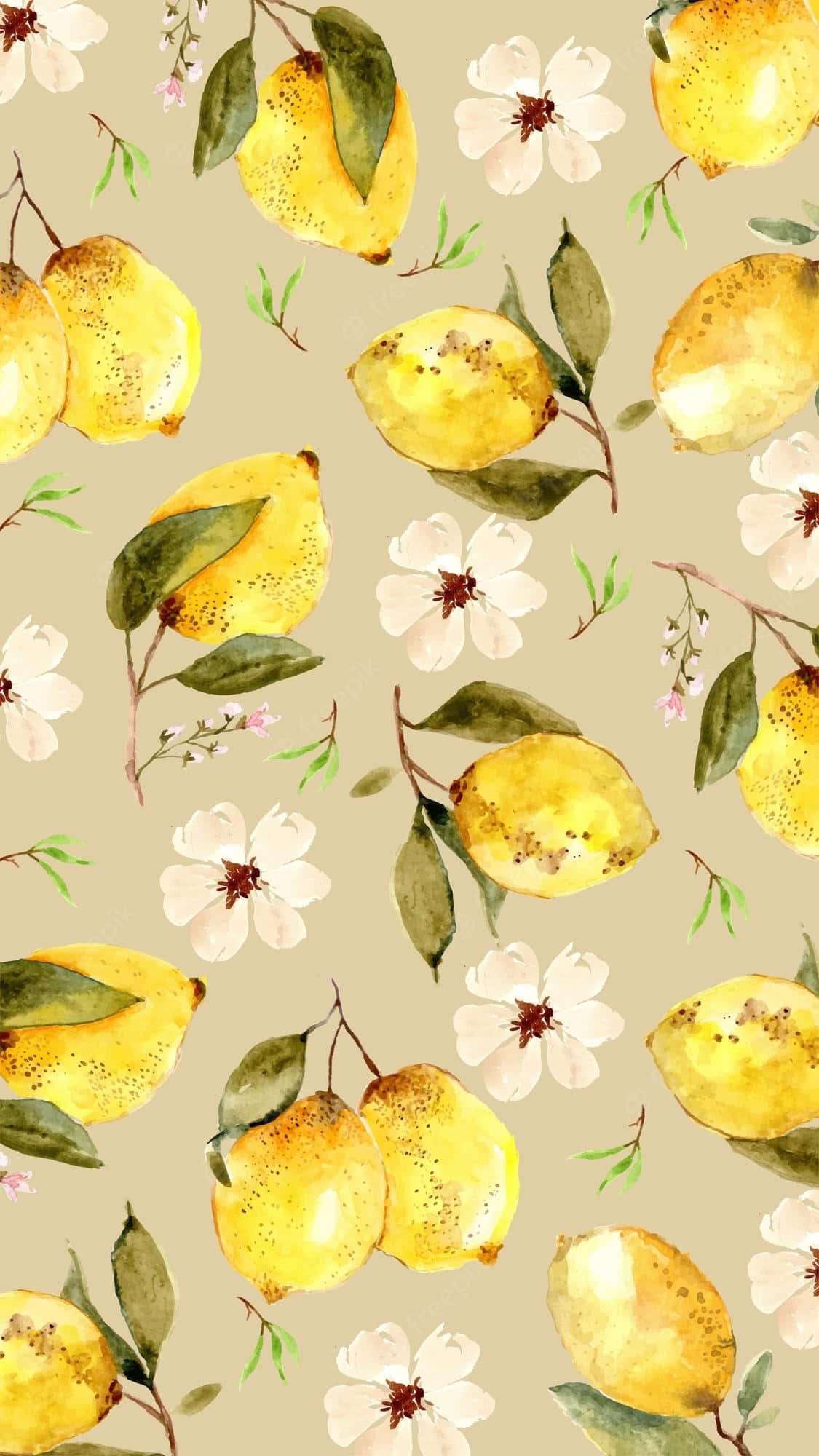 Fondo estético amarillo para celular con limones y flores Fondos de pantalla