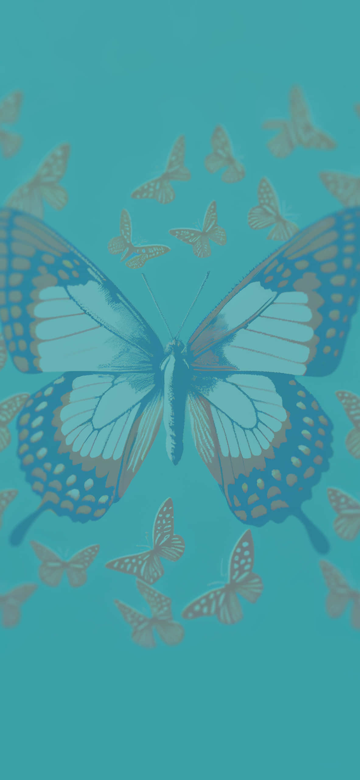 Fondo Estético Cautivador de Mariposa Fondos de pantalla
