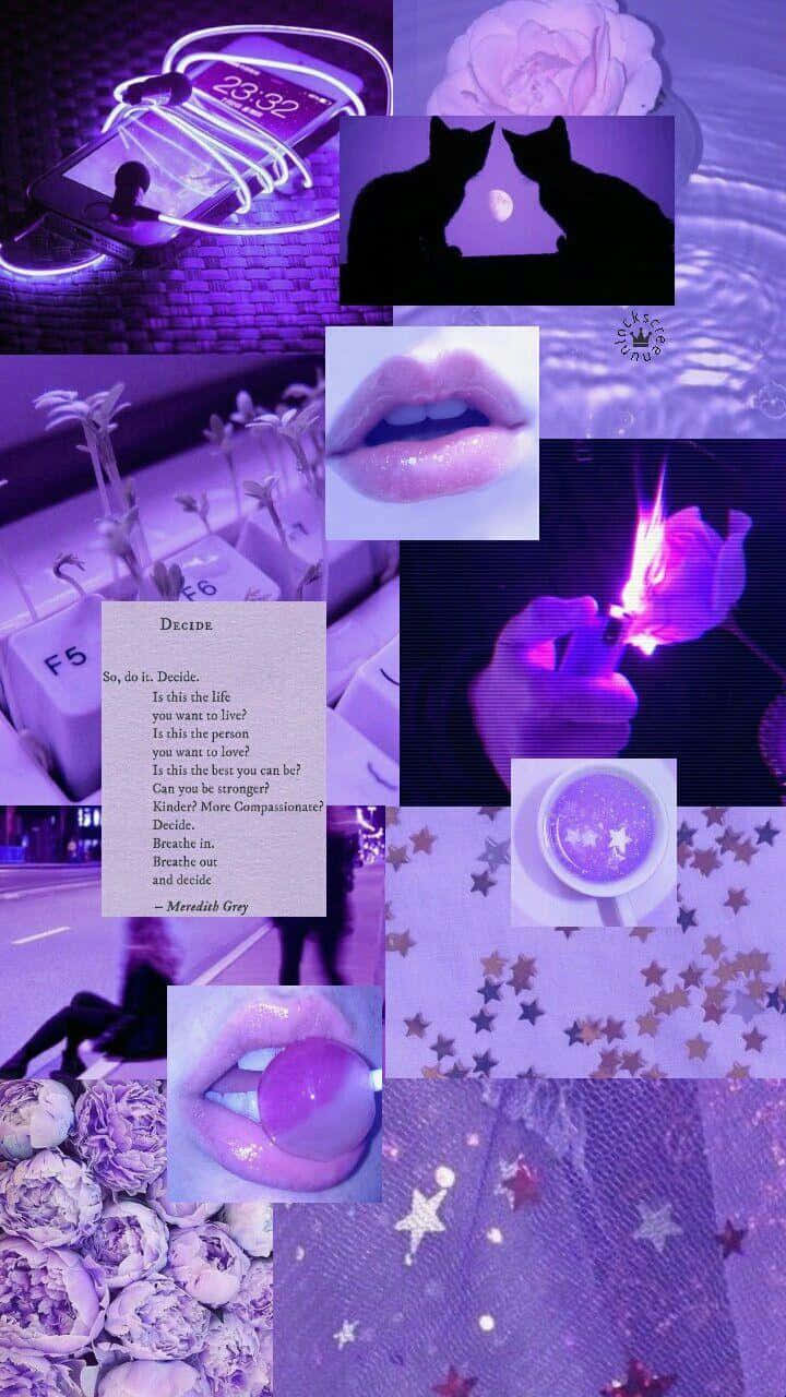 Fondo Estético Collage Lavanda Púrpura Pastel Fondos de pantalla