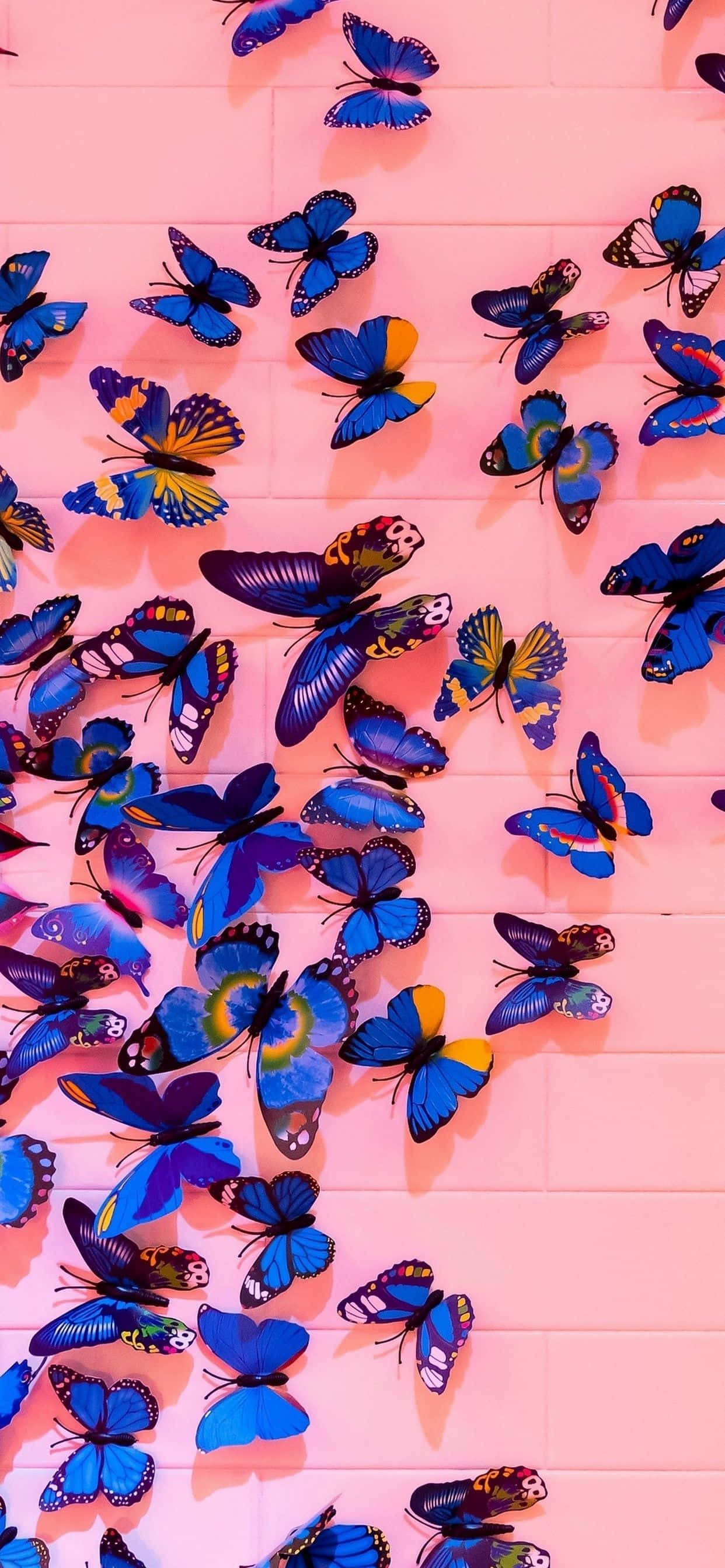 Fondo Estético de Mariposa Elegante Fondos de pantalla