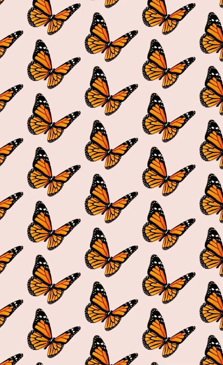 Fondo Estético de Mariposa Fondos de pantalla