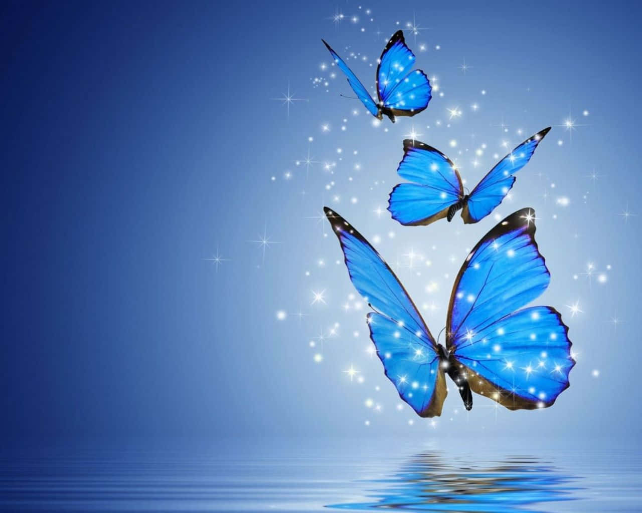 Fondo Estético de Mariposa Encantadora Fondos de pantalla