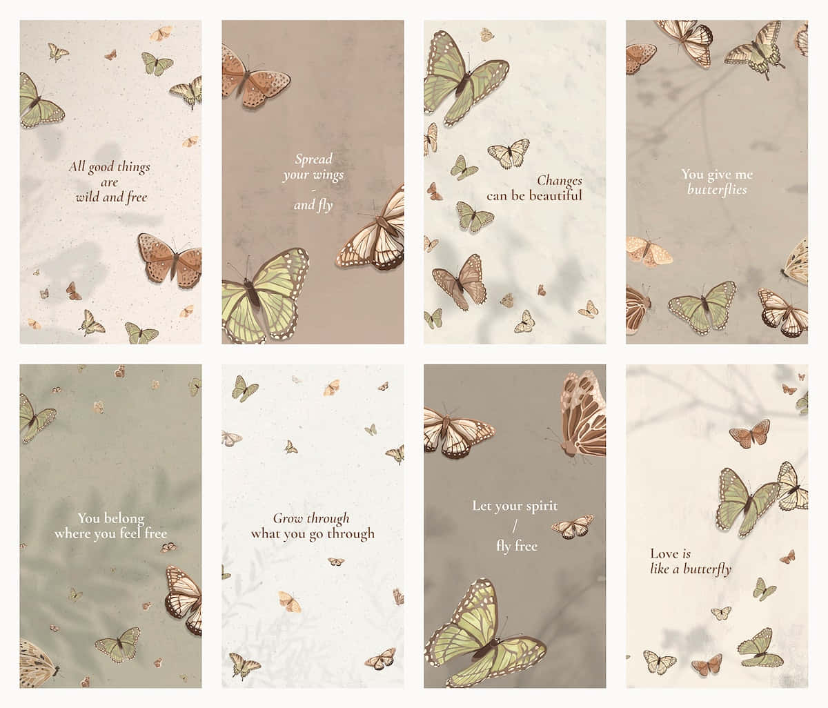 Fondo estético de mariposas encantadoras Fondos de pantalla