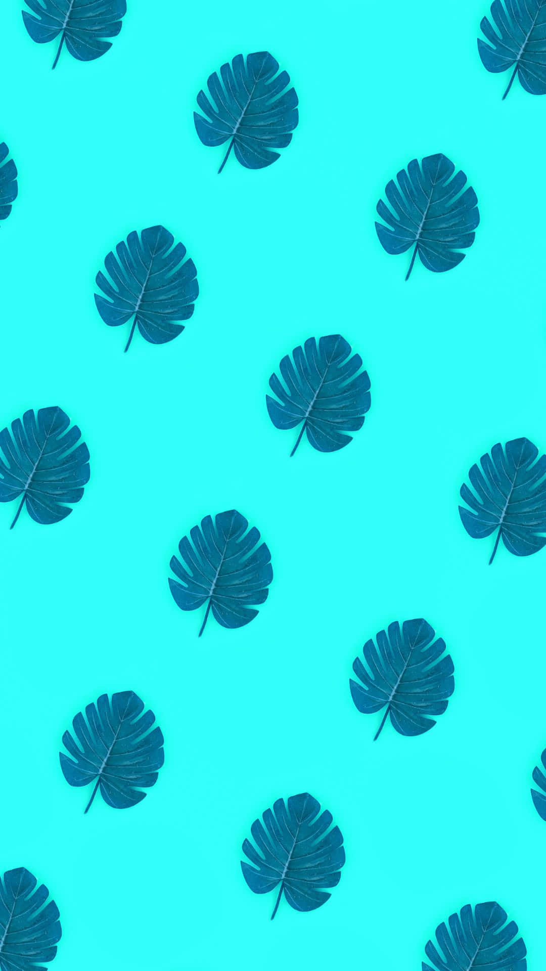 Fondo estético de patrón de hojas de Monstera VSCO Fondos de pantalla