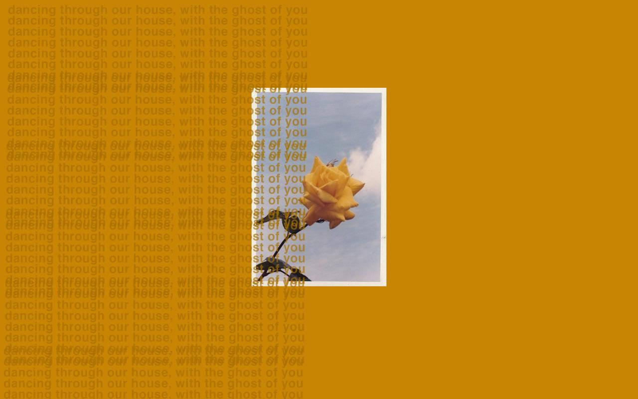 Fondo Estético para MacBook con Flor Amarilla Fondos de pantalla