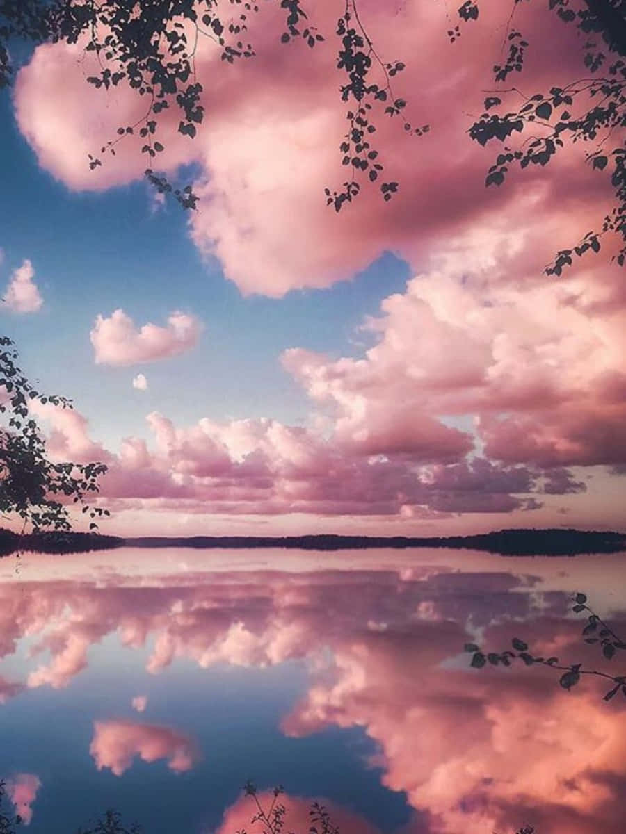 Fondo estético rosa pastel con patrón de remolinos Fondos de pantalla