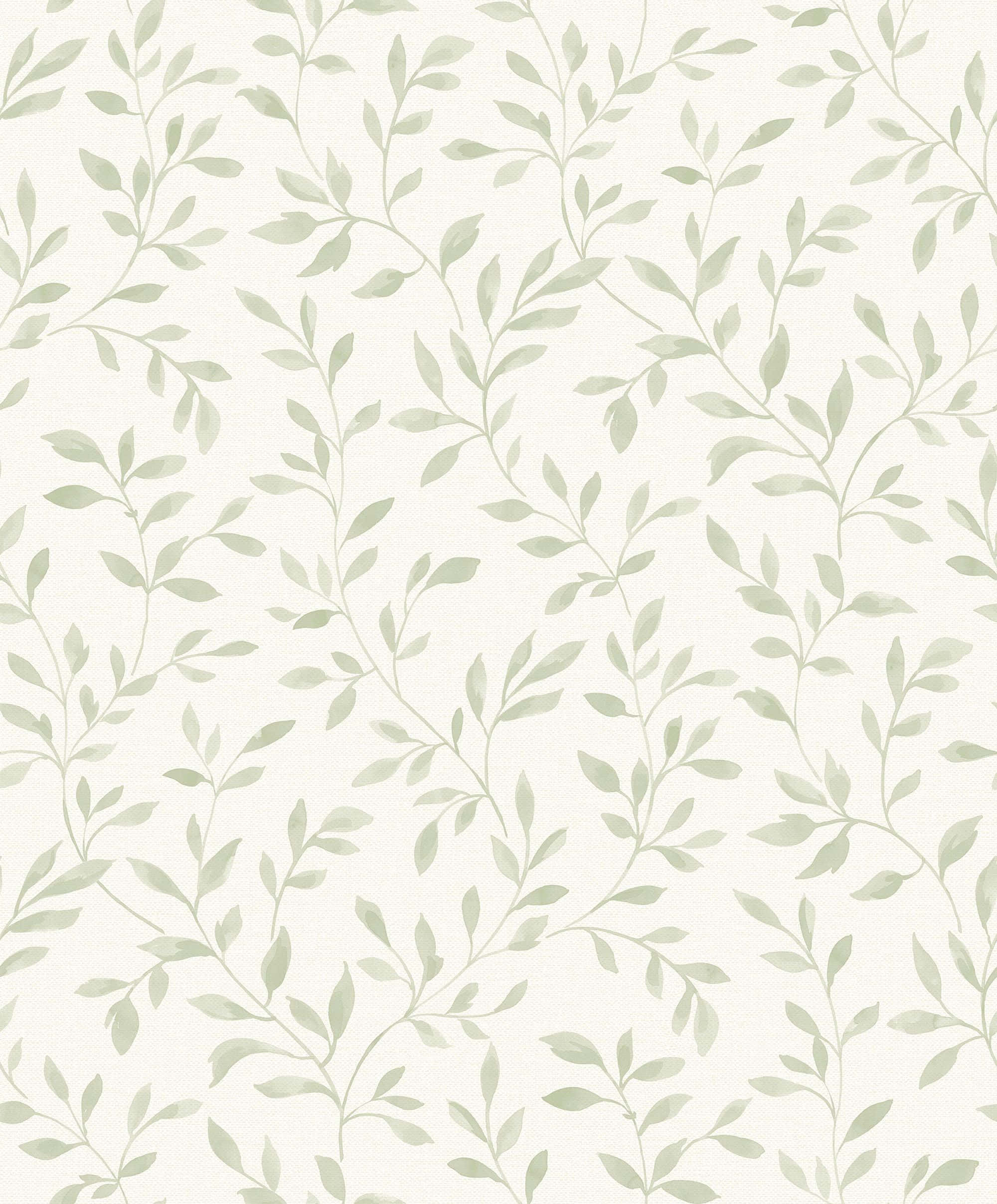 Fondo Estético Verde Salvia Relajante Fondos de pantalla