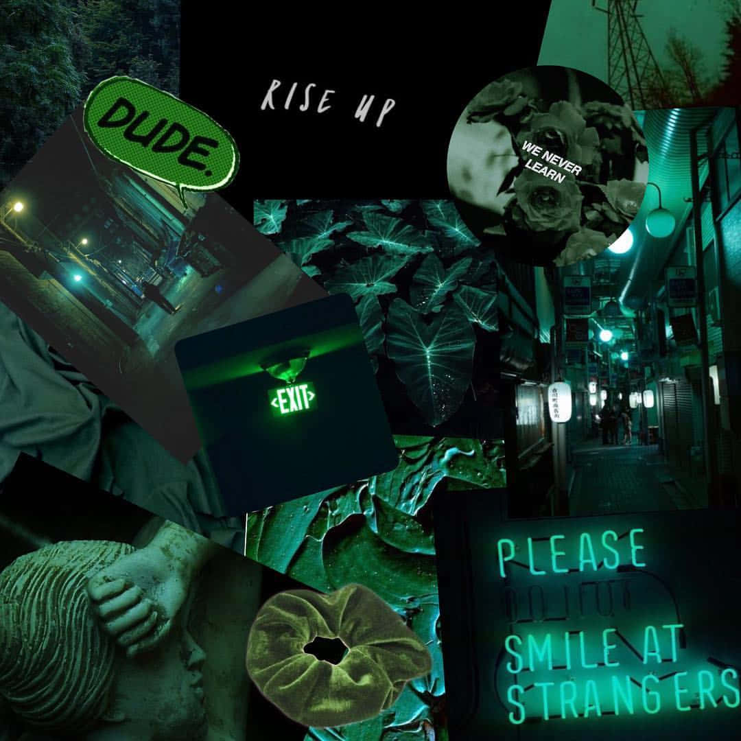Fondo estético verde oscuro cautivador Fondos de pantalla