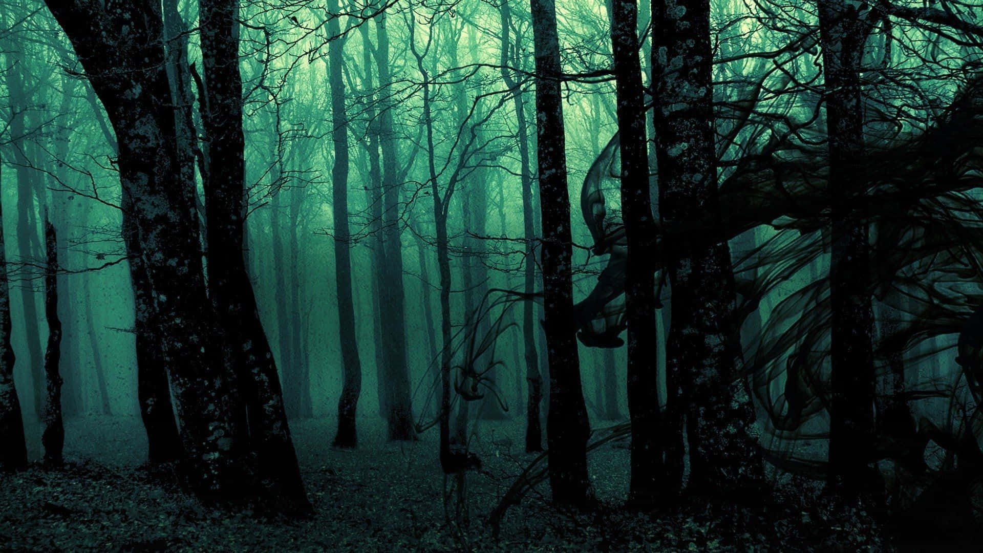 Fondo estético verde oscuro encantador Fondos de pantalla