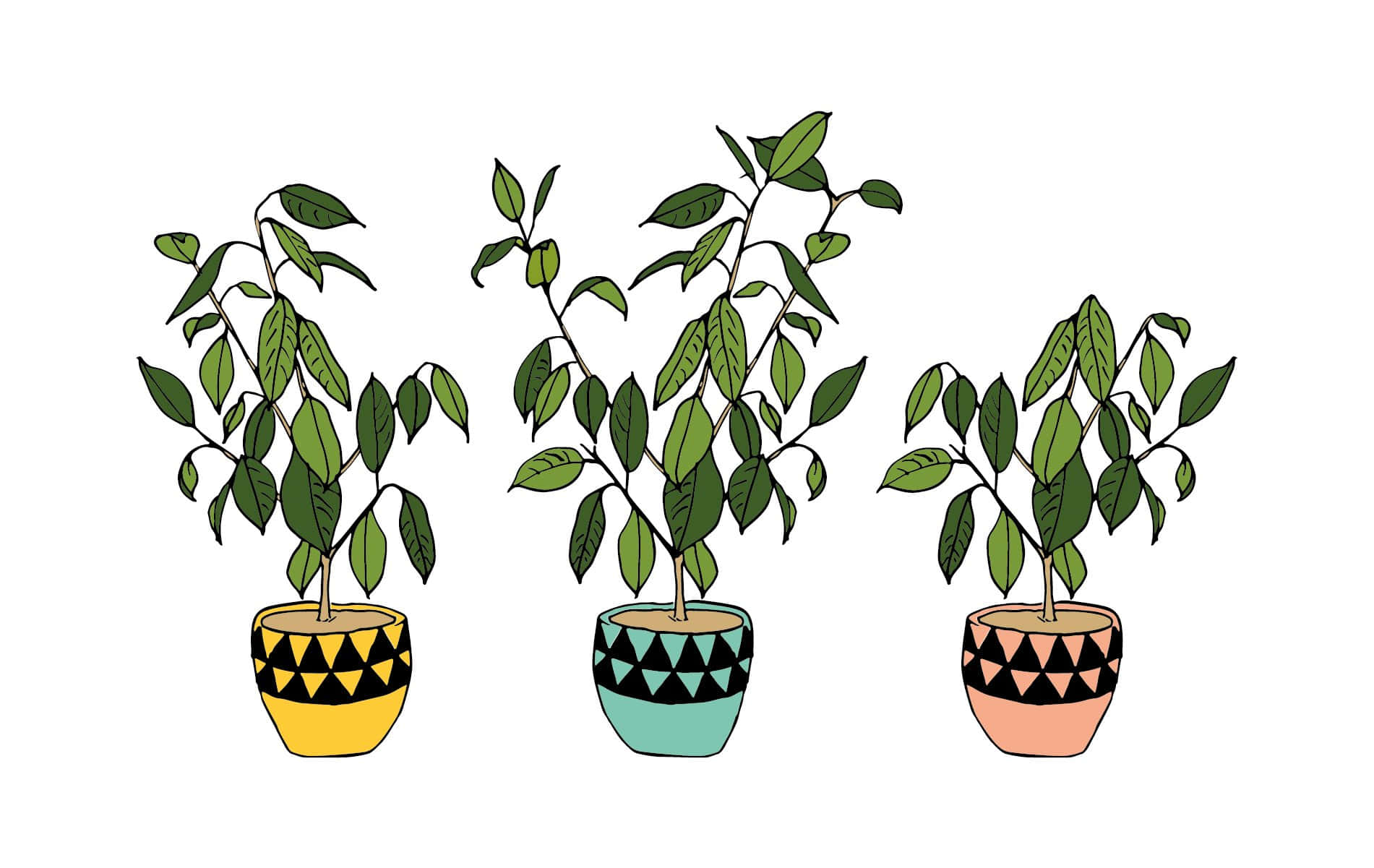 Fondo estético verde salvia sereno Fondos de pantalla