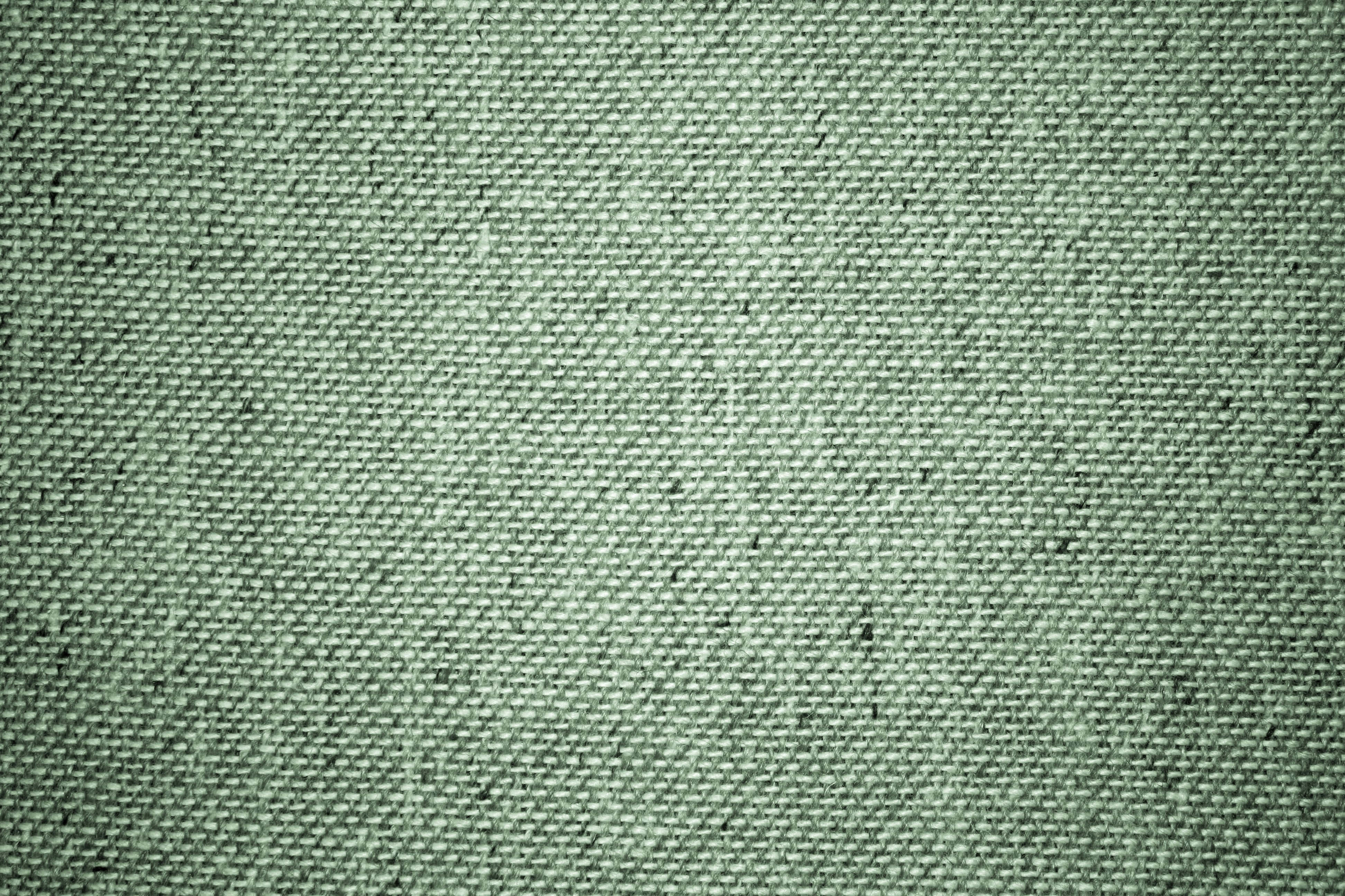 Fondo estético verde salvia sereno Fondos de pantalla