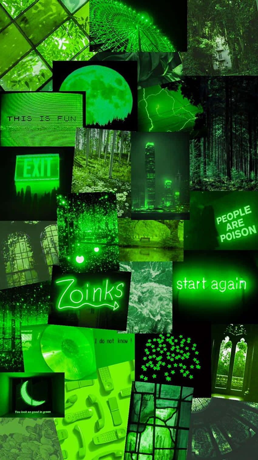 Fondo estético verde neón vibrante Fondos de pantalla