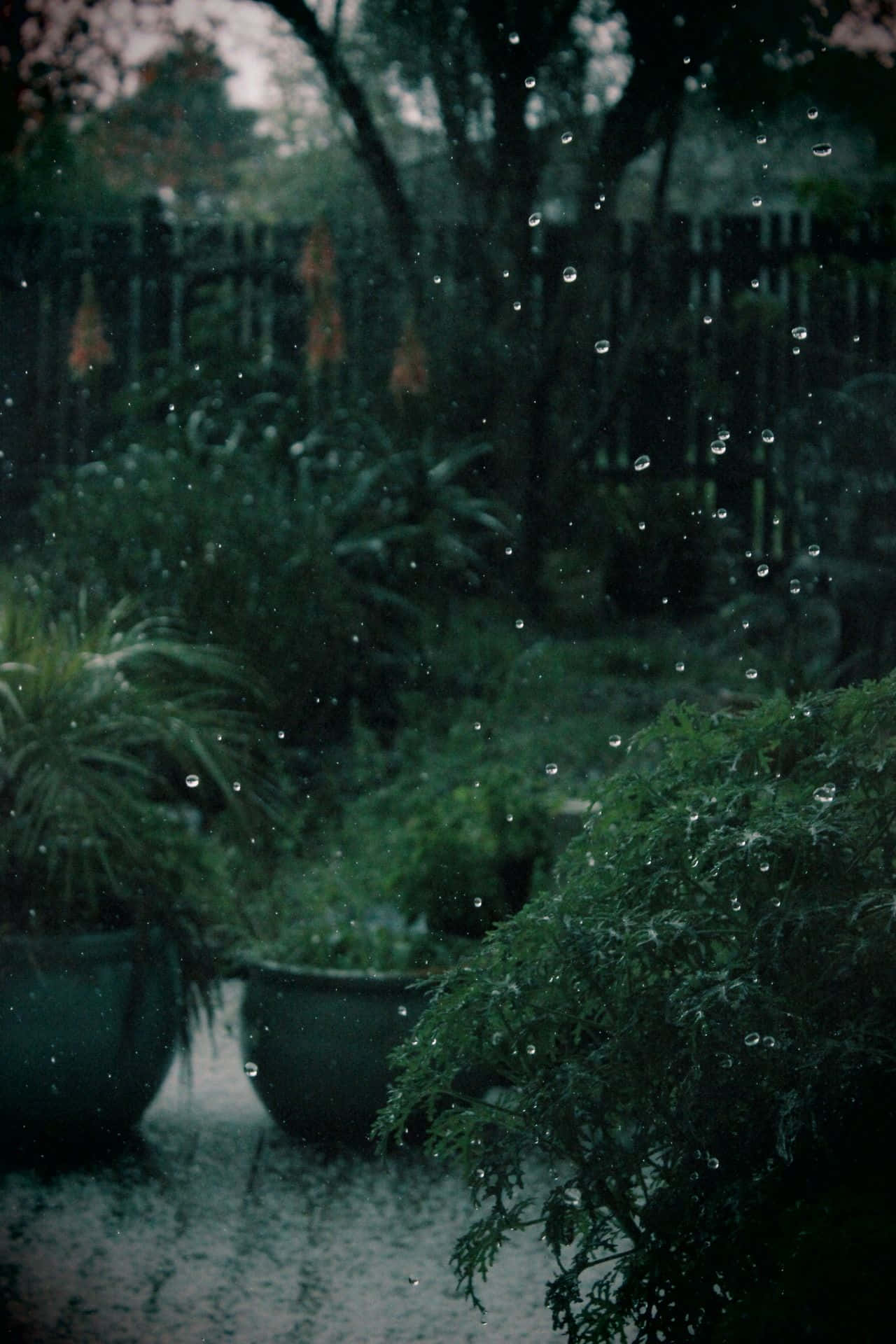 Fondo Estético Verde Oscuro Encantador Fondos de pantalla
