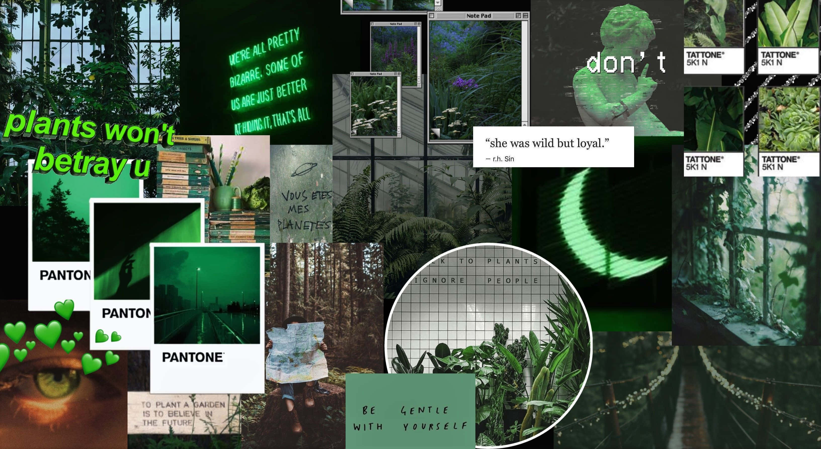Fondo Estético Verde Oscuro Encantador Fondos de pantalla