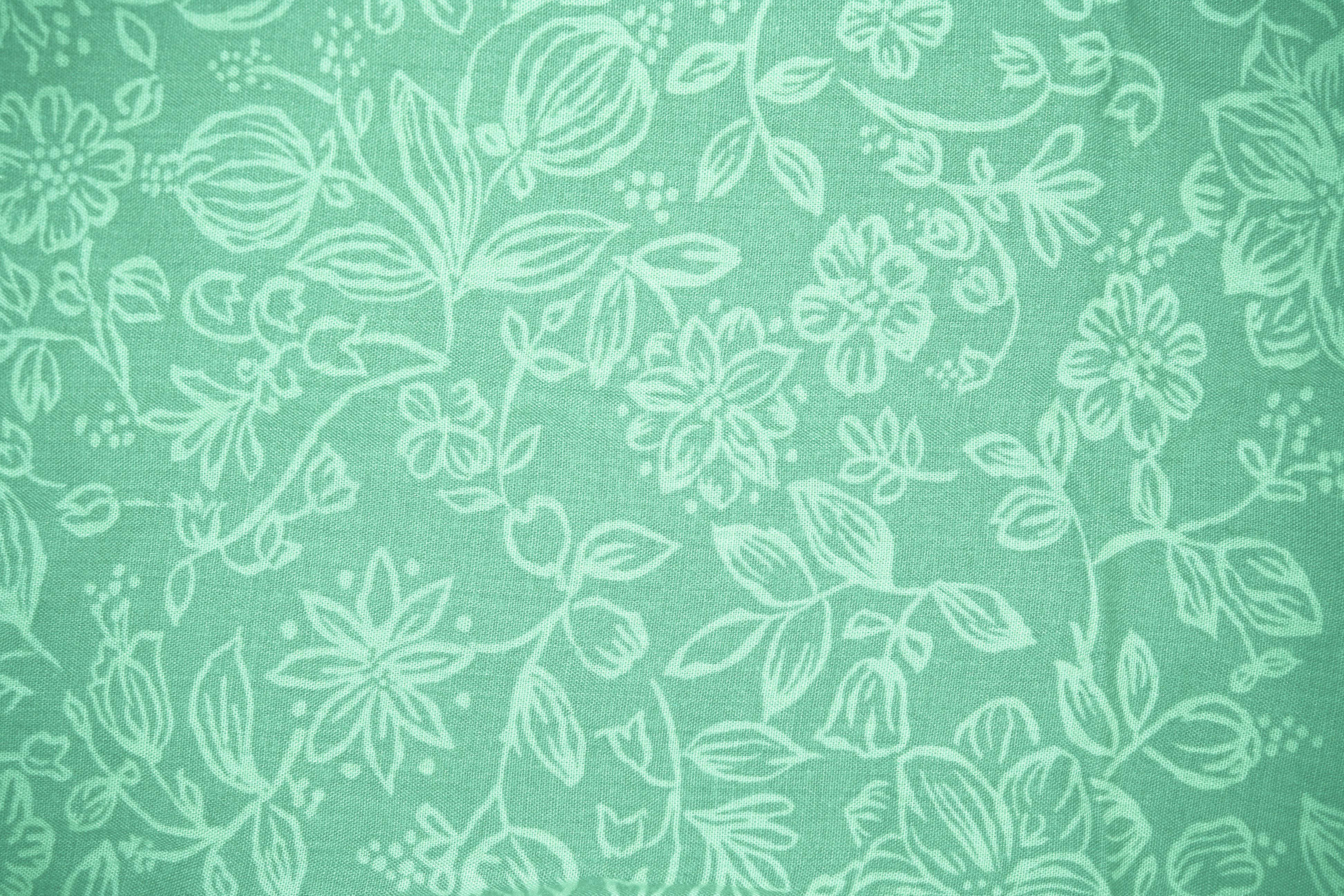 Fondo Estético Verde Salvia Relajante Fondos de pantalla