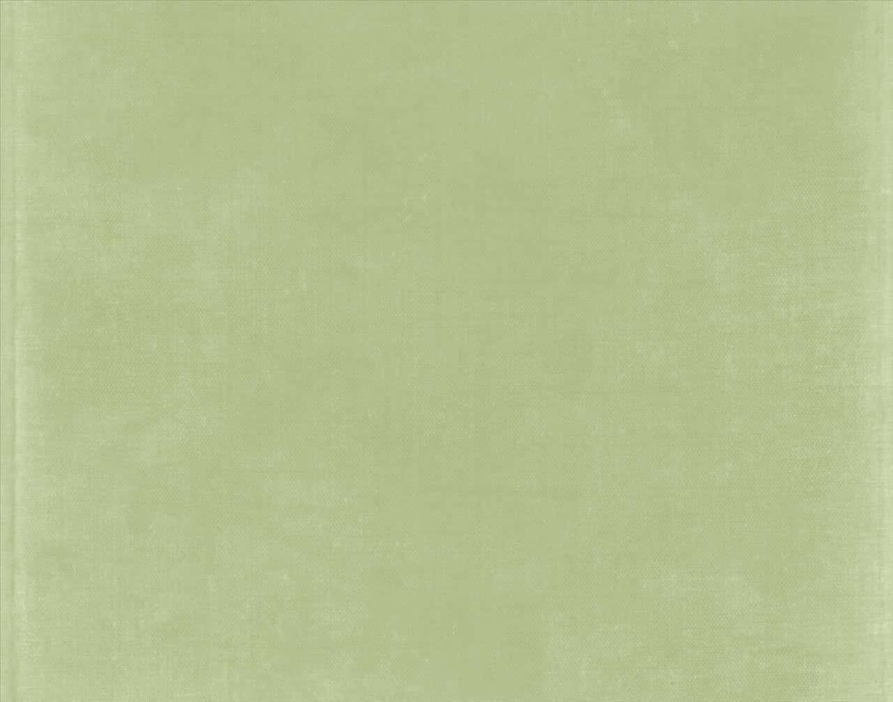 Fondo estético verde salvia sereno Fondos de pantalla