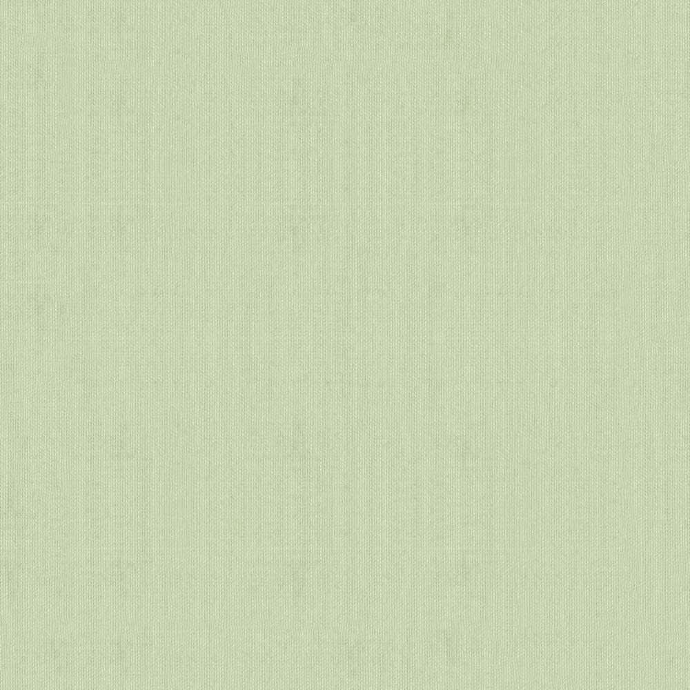 Fondo estético verde salvia sereno Fondos de pantalla