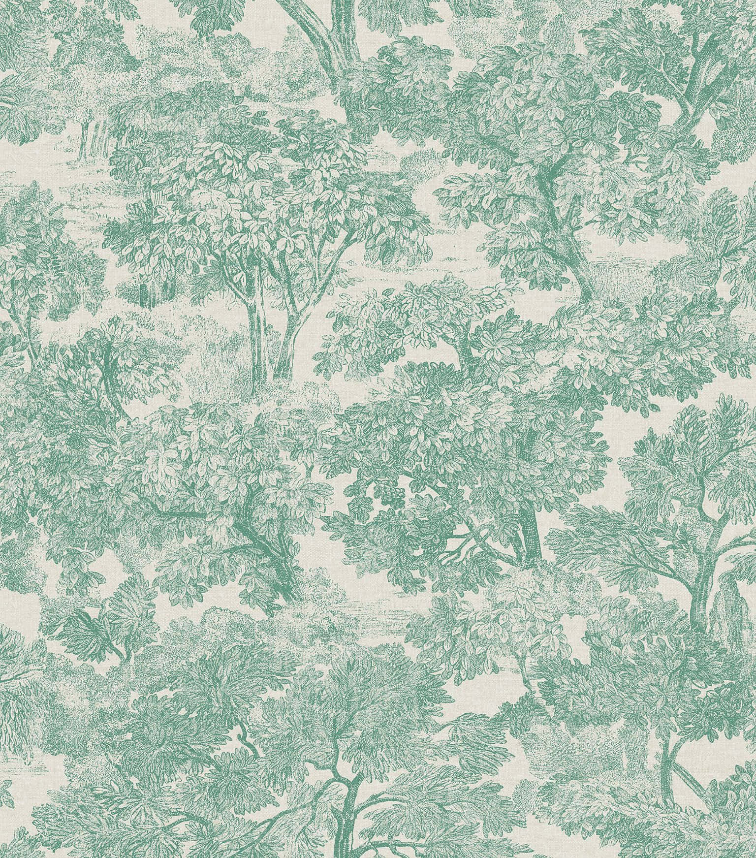 Fondo Estético Verde Salvia Sereno Fondos de pantalla