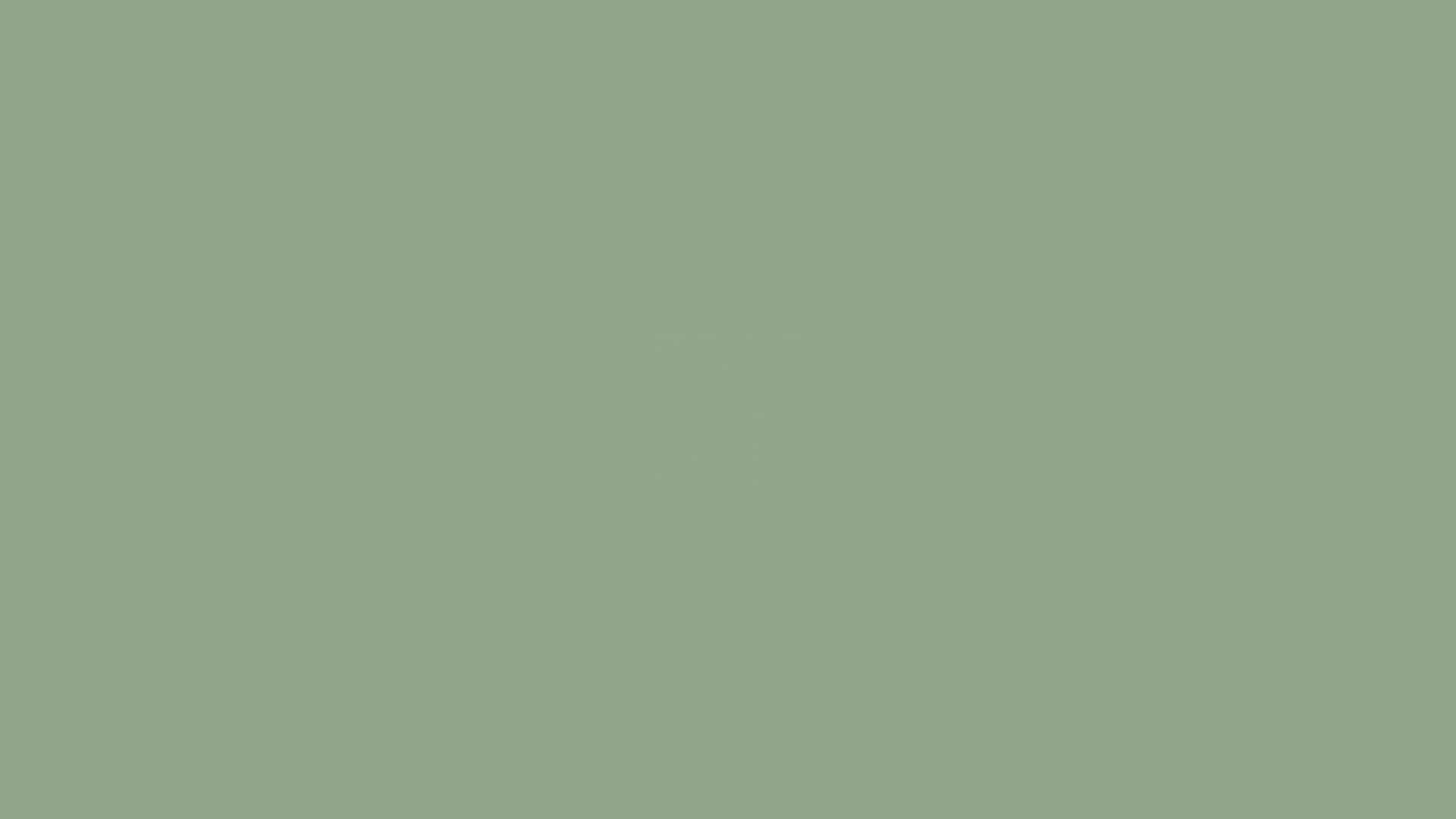 Fondo estético verde salvia tranquilo Fondos de pantalla