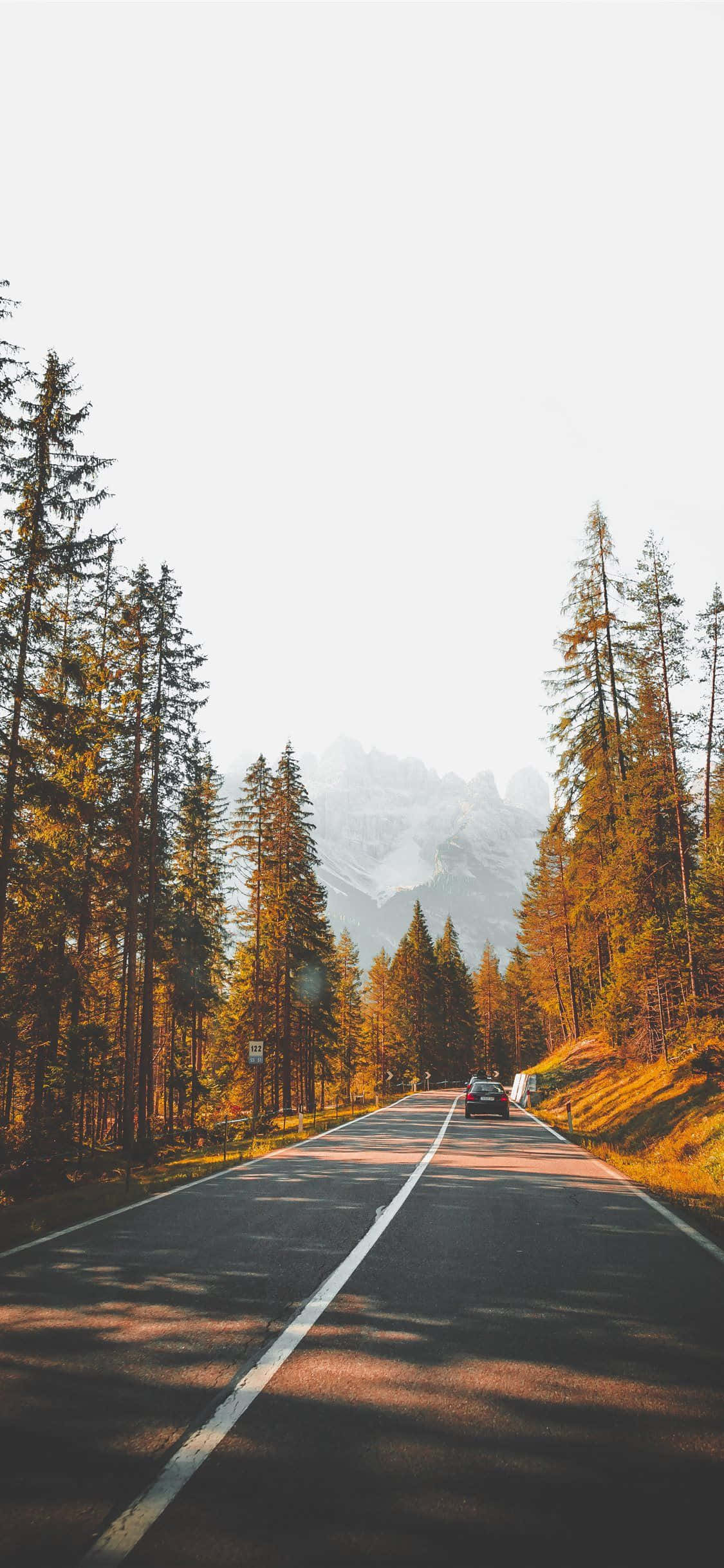 Fondo exterior de camino otoñal estético Fondos de pantalla