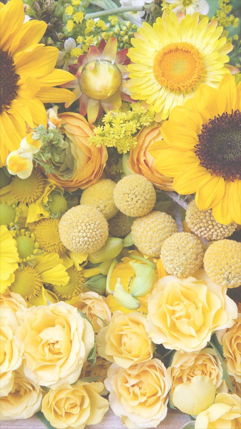 Fondo Floral Amarillo para iPhone Fondos de pantalla