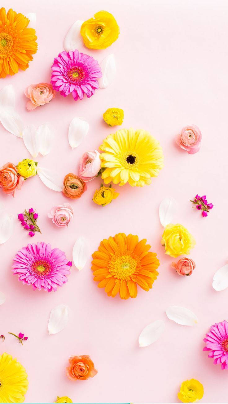 Fondo floral colorido contrastante para iPhone Fondos de pantalla