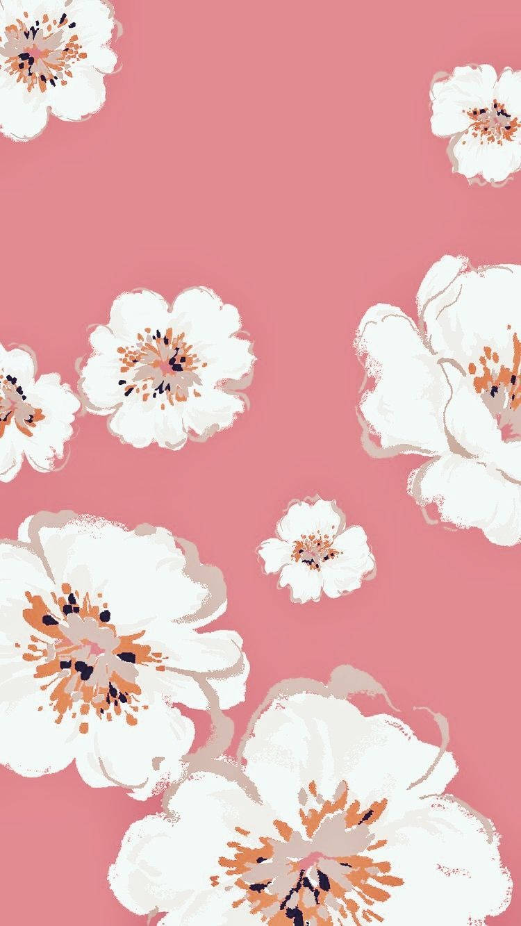 Fondo Floral iPhone Flores Blancas Fondos de pantalla