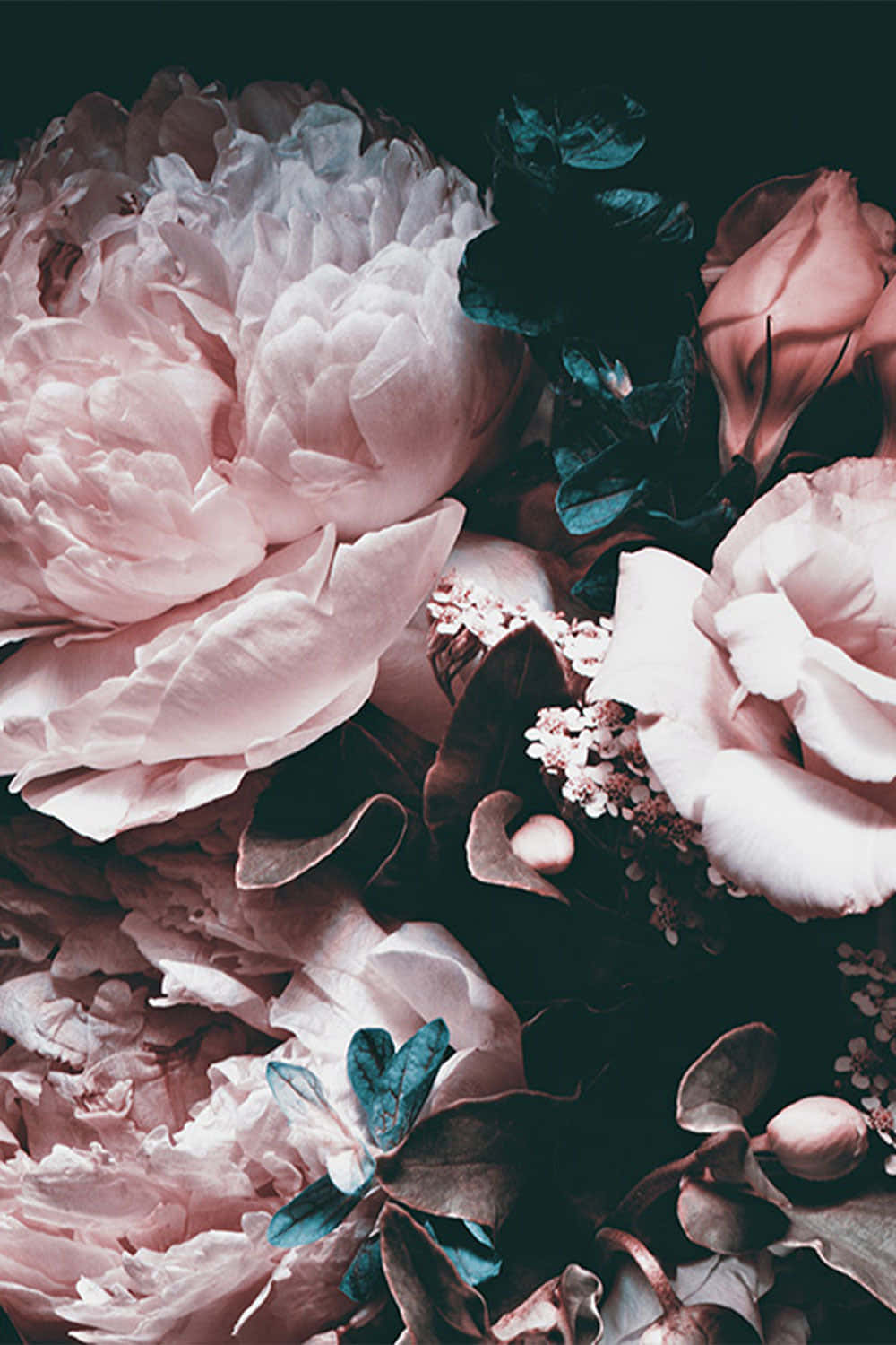 Fondo Floral Oscuro Cautivador Fondos de pantalla