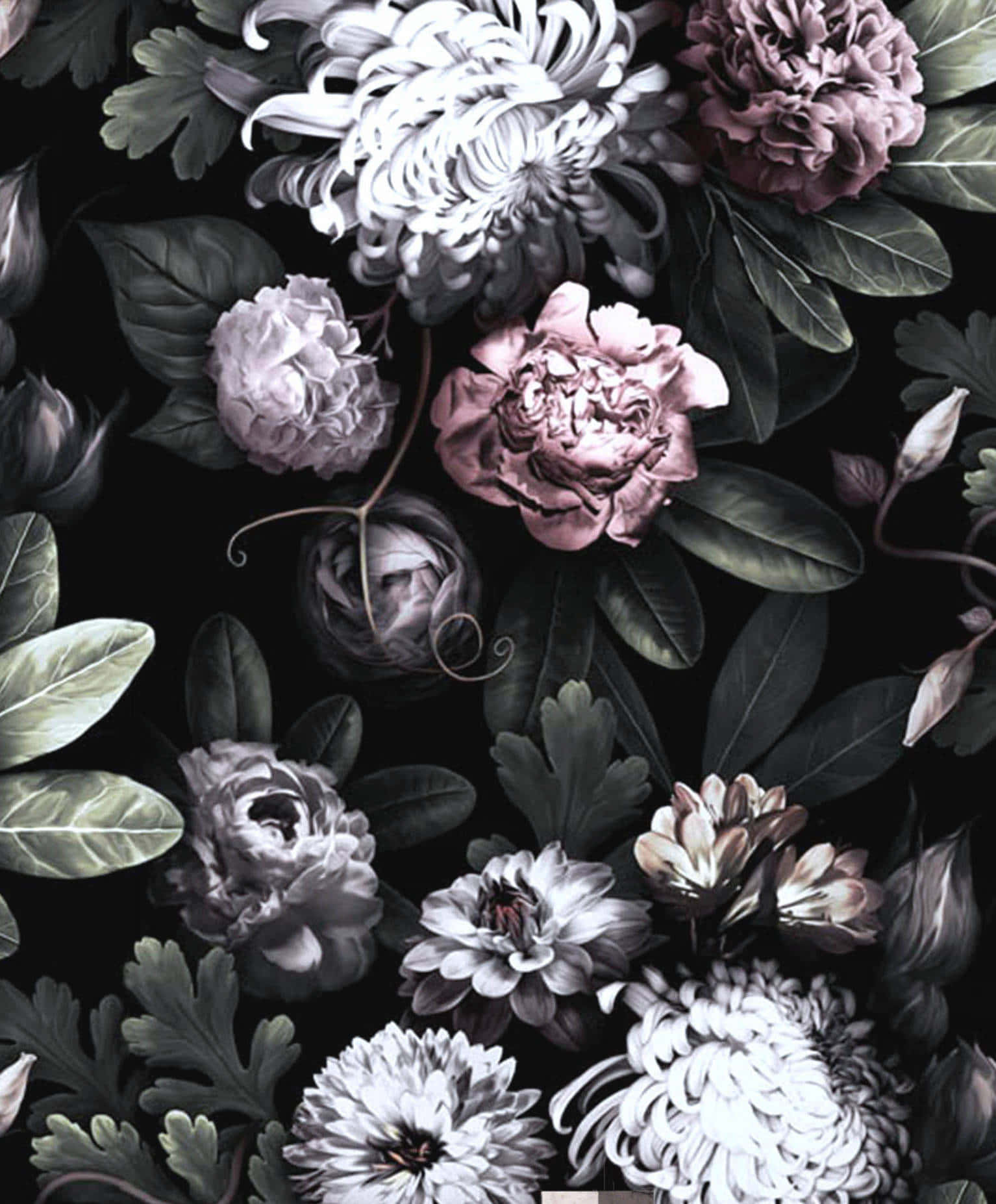 Fondo Floral Oscuro Encantador Fondos de pantalla