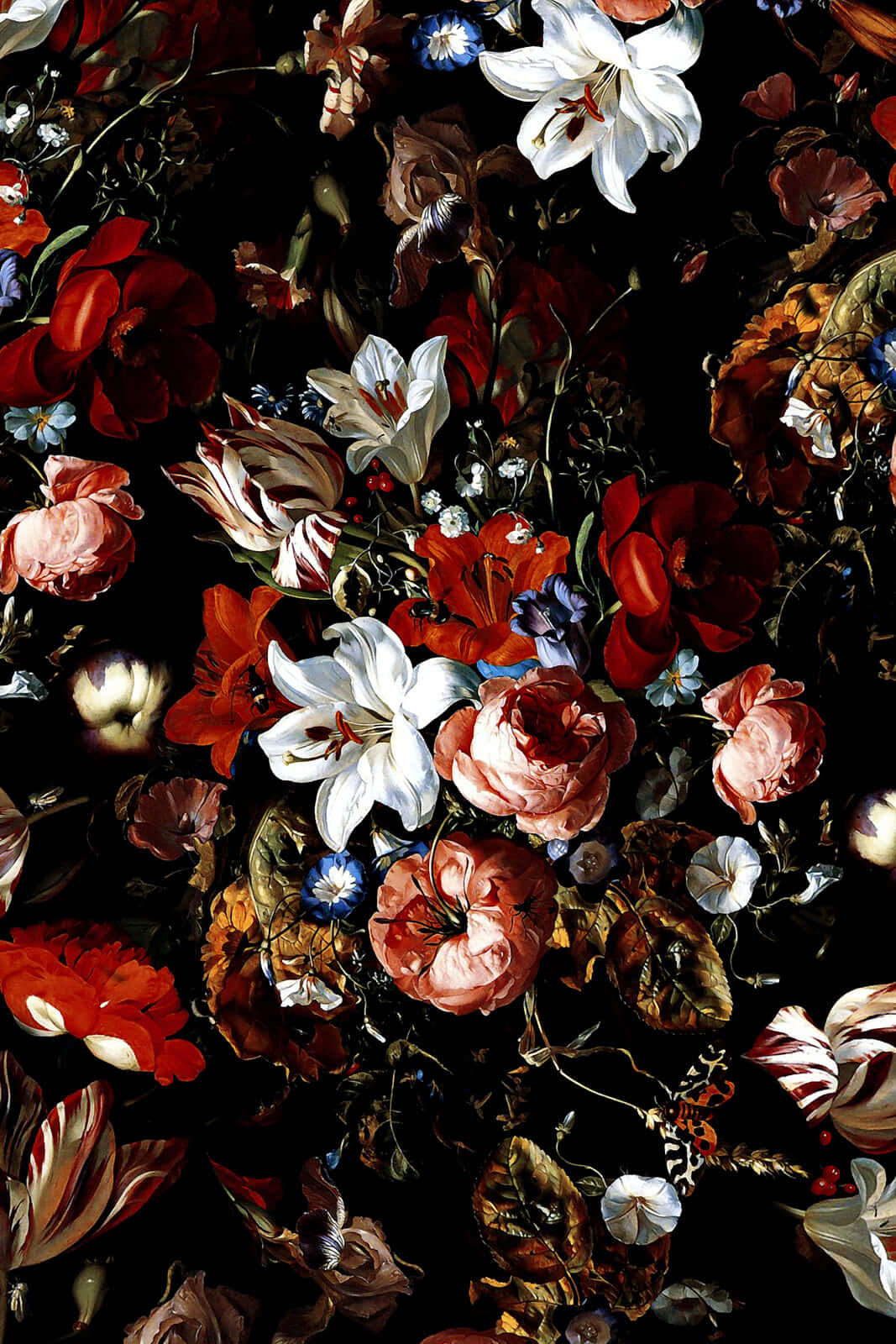 Fondo Floral Oscuro Cautivador Fondos de pantalla