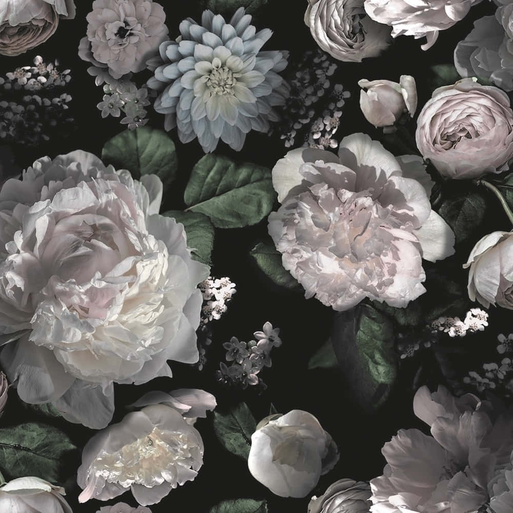 Fondo Floral Oscuro Cautivador Fondos de pantalla