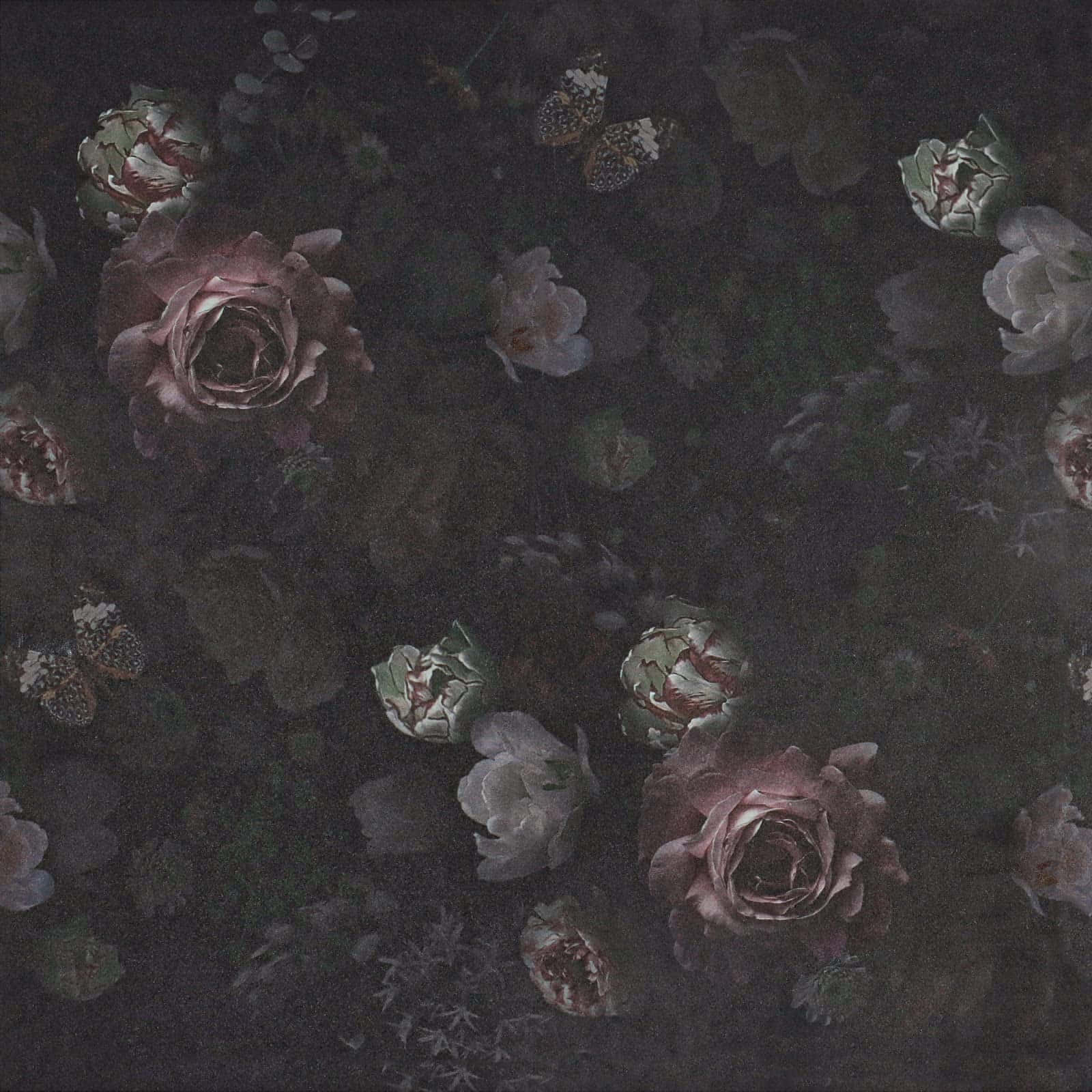 Fondo Floral Oscuro Cautivador Fondos de pantalla
