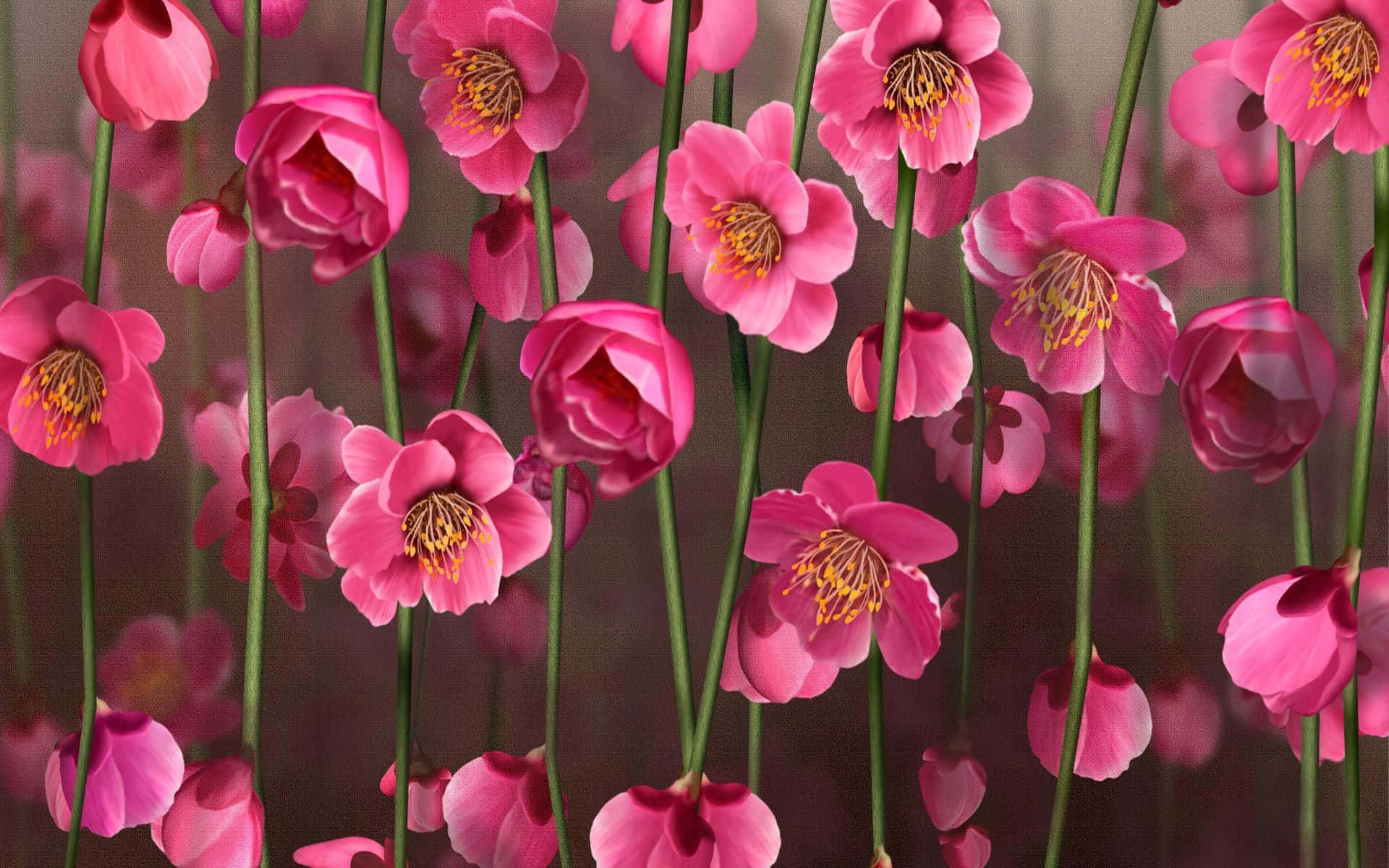 Fondo Floral Rosa Suave Fondos de pantalla