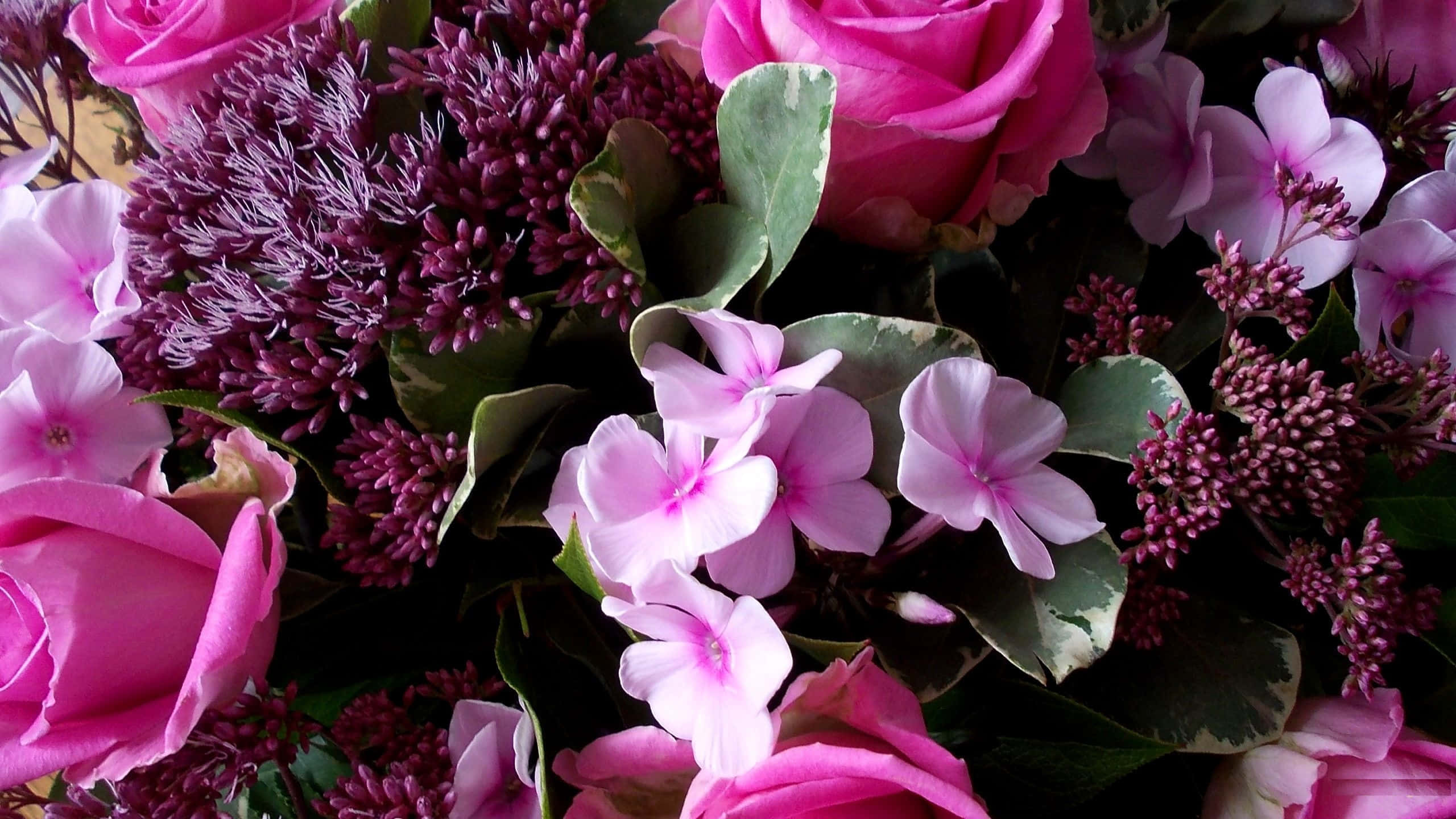 Fondo Floral Rosa en Floración Fondos de pantalla