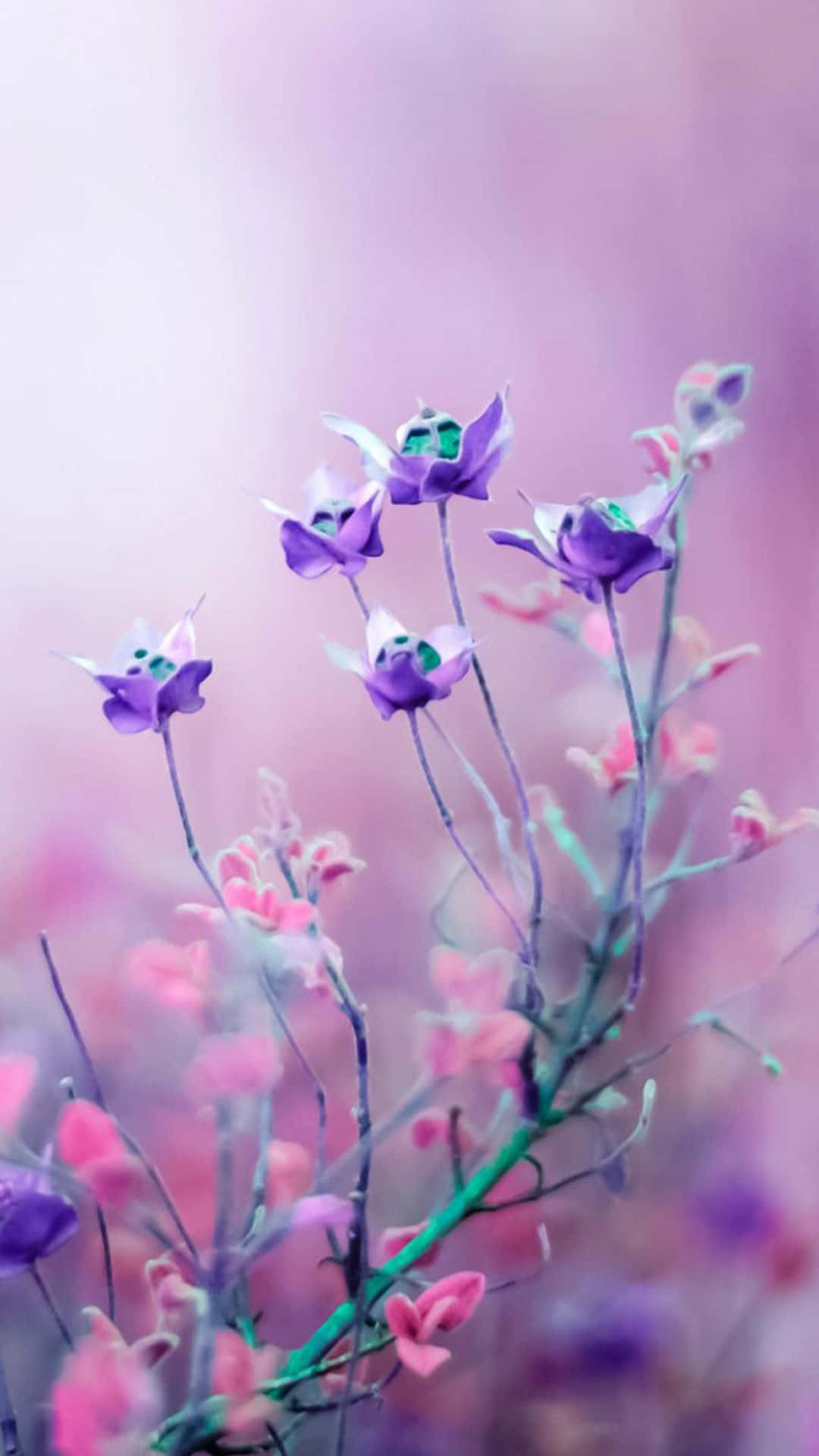 Fondo Floral Rosa Encantador Fondos de pantalla