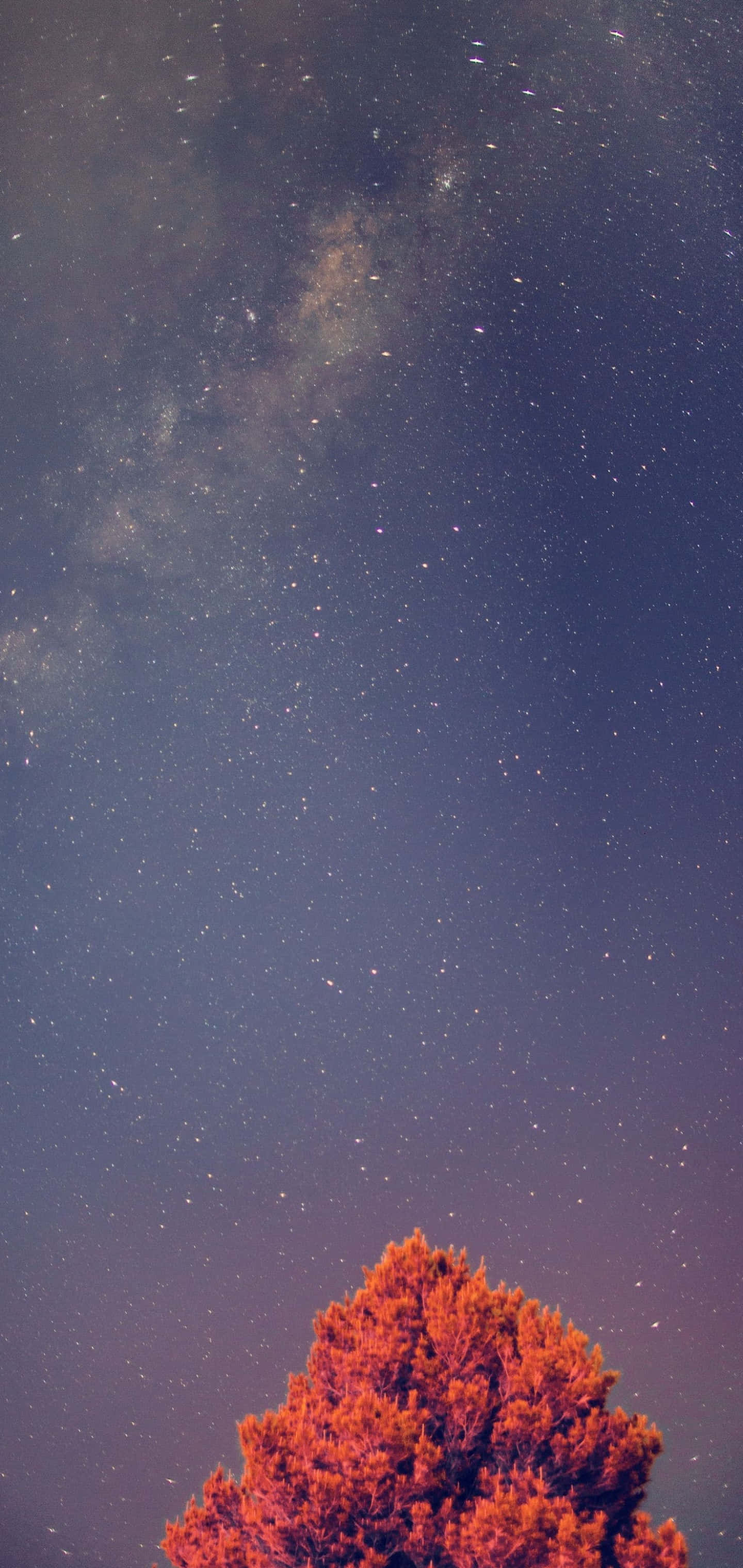Fondo Galaxy S10 Plus Fondos de pantalla