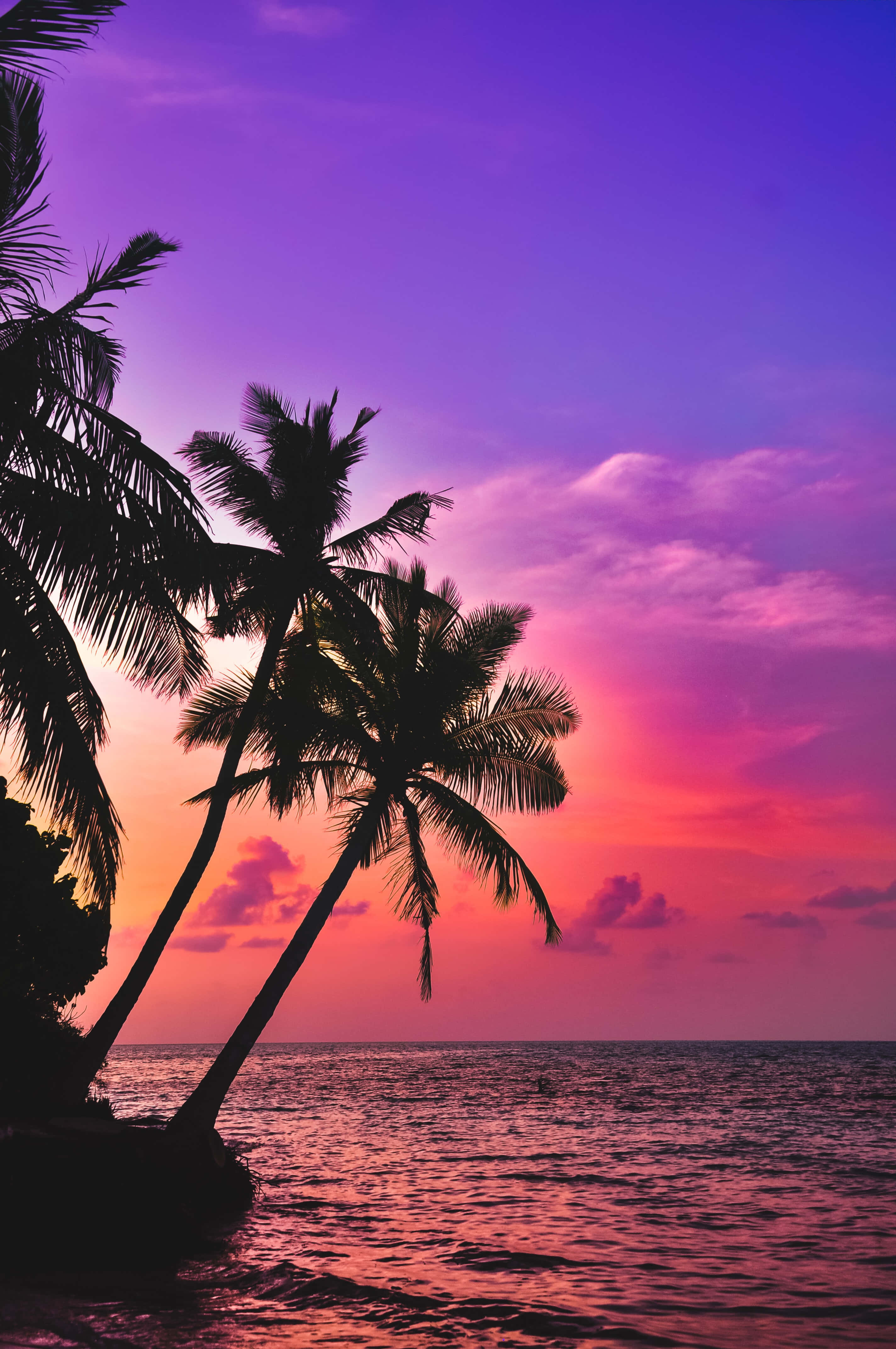 Fondo iPhone Atardecer Isla Tropical Rosa Fondos de pantalla