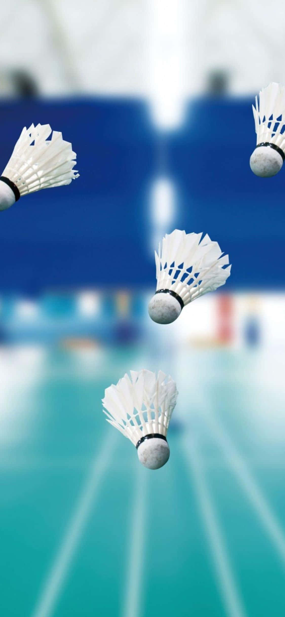 Fondo iPhone XS Bádminton Fondos de pantalla