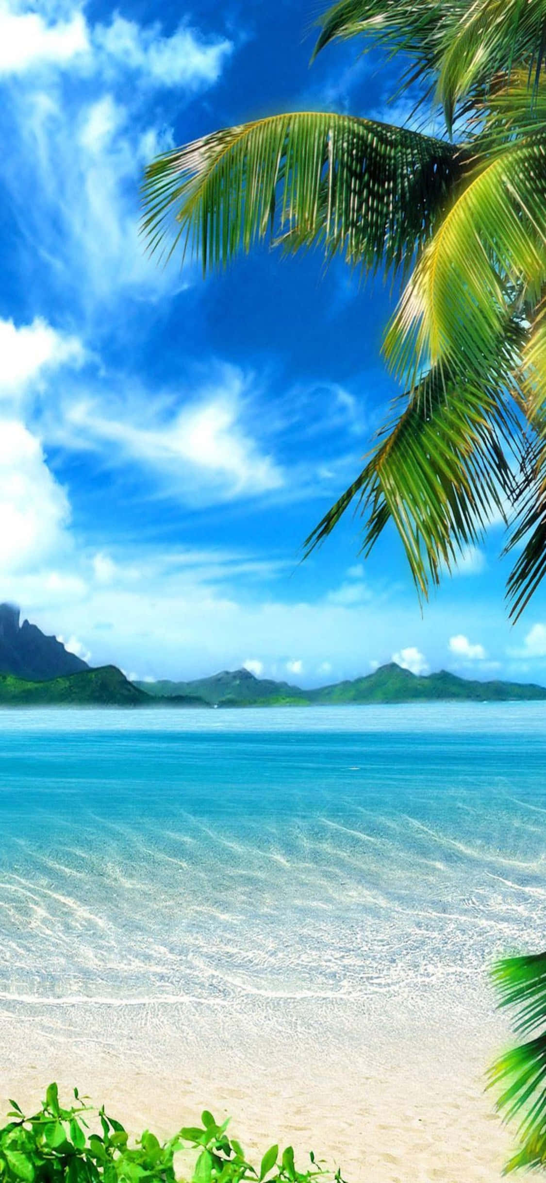 Fondo iPhone XS de Playa Caribeña Fondos de pantalla