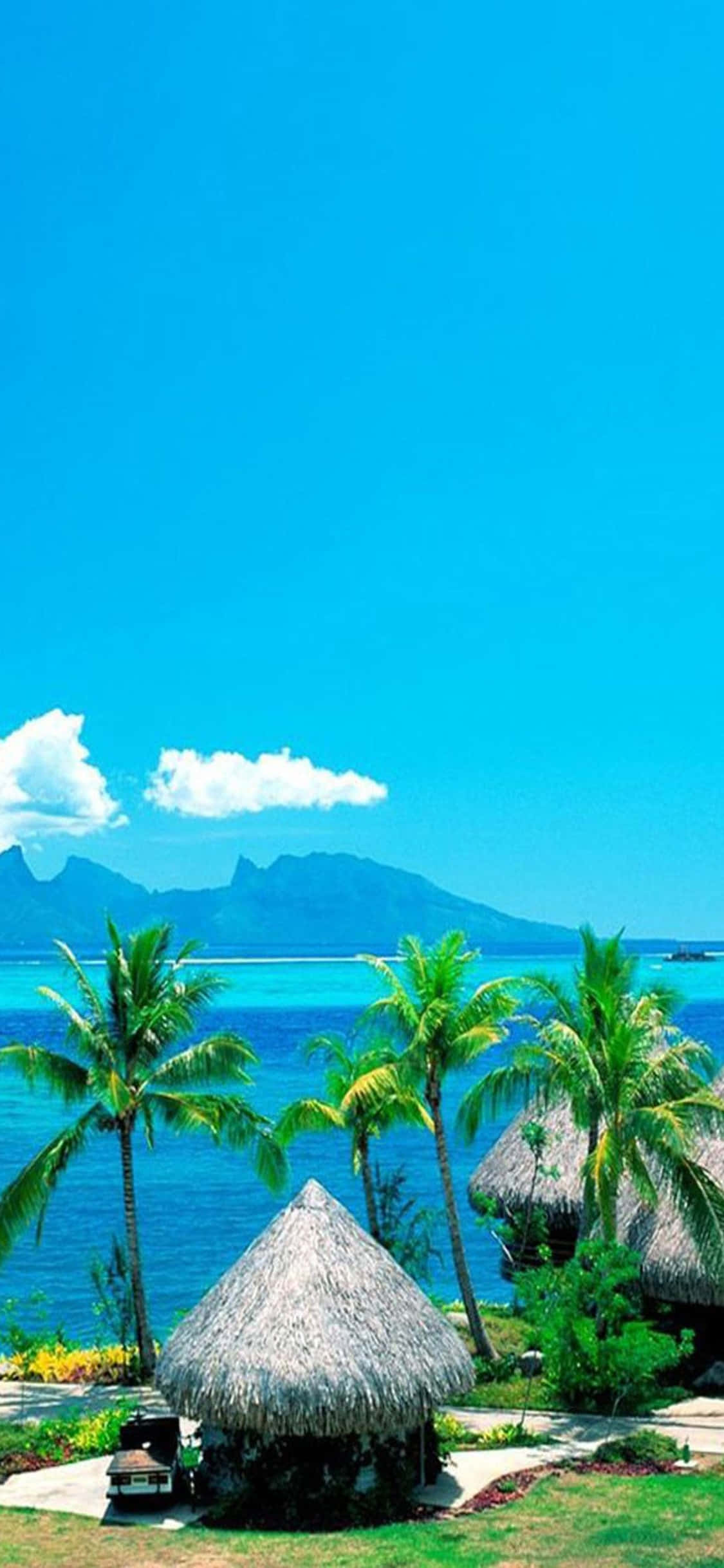 Fondo iPhone XS de Playa con Palmeras Fondos de pantalla