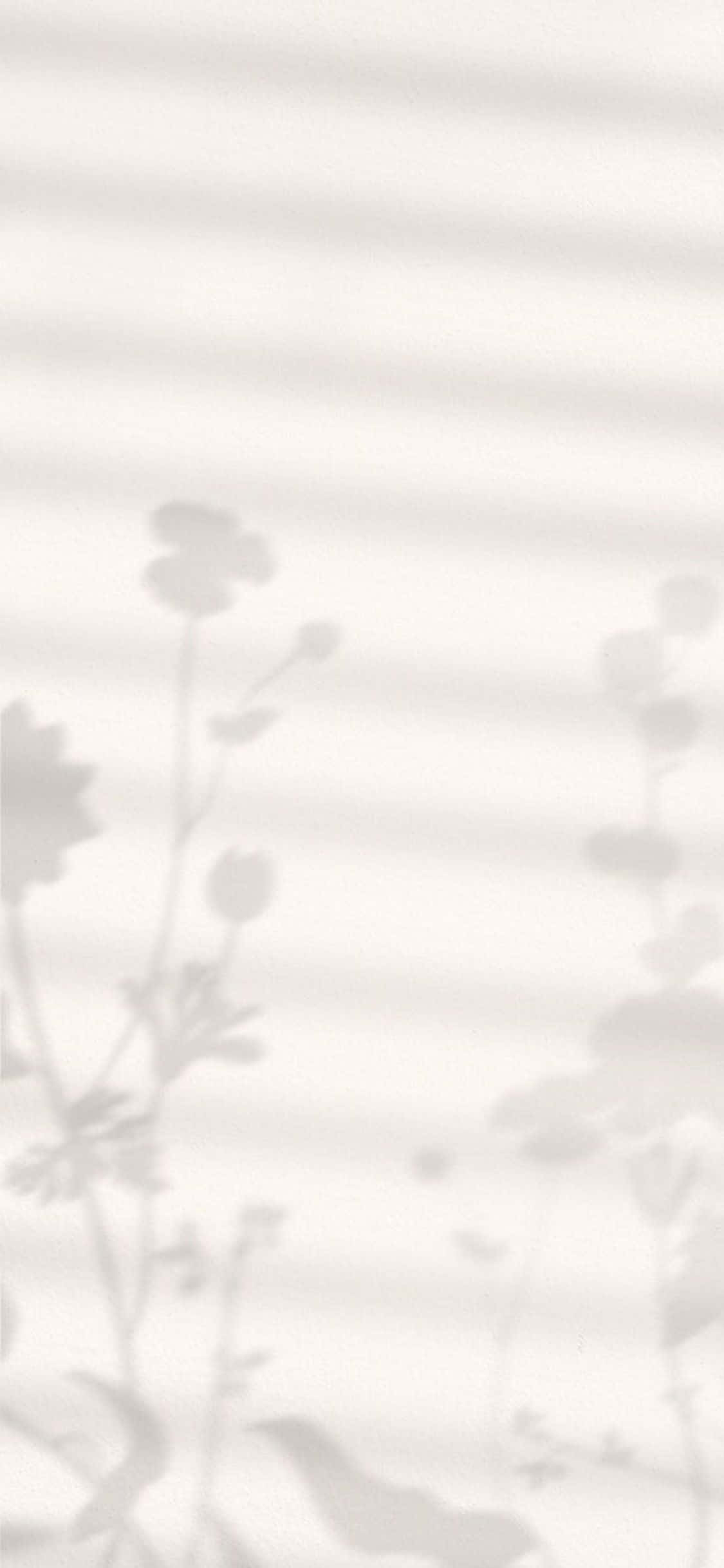 Fondo Minimalista de Sombras de Flores para iPhone X Fondos de pantalla