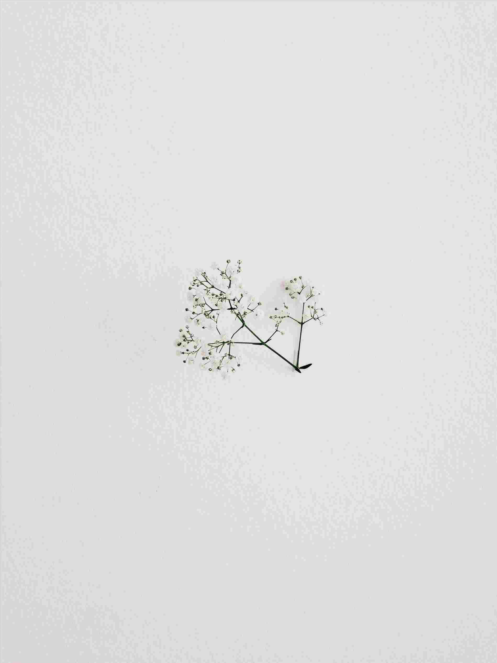 Fondo minimalista estético con un suave degradado pastel de azules y rosas. Fondos de pantalla